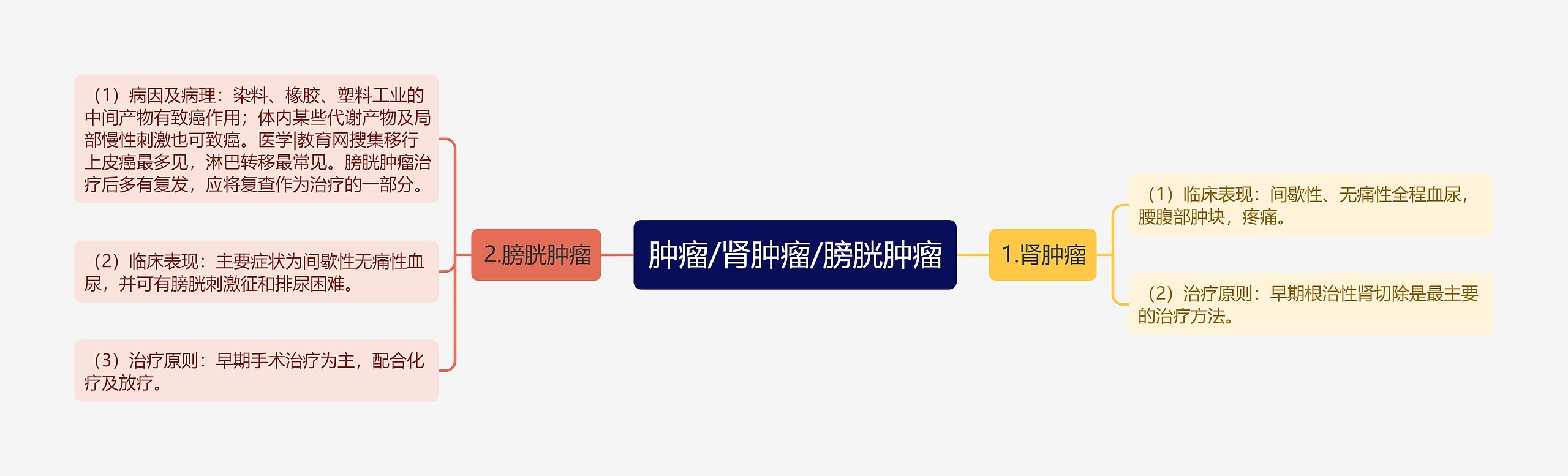 肿瘤/肾肿瘤/膀胱肿瘤 肿瘤/肾肿瘤/膀胱肿瘤