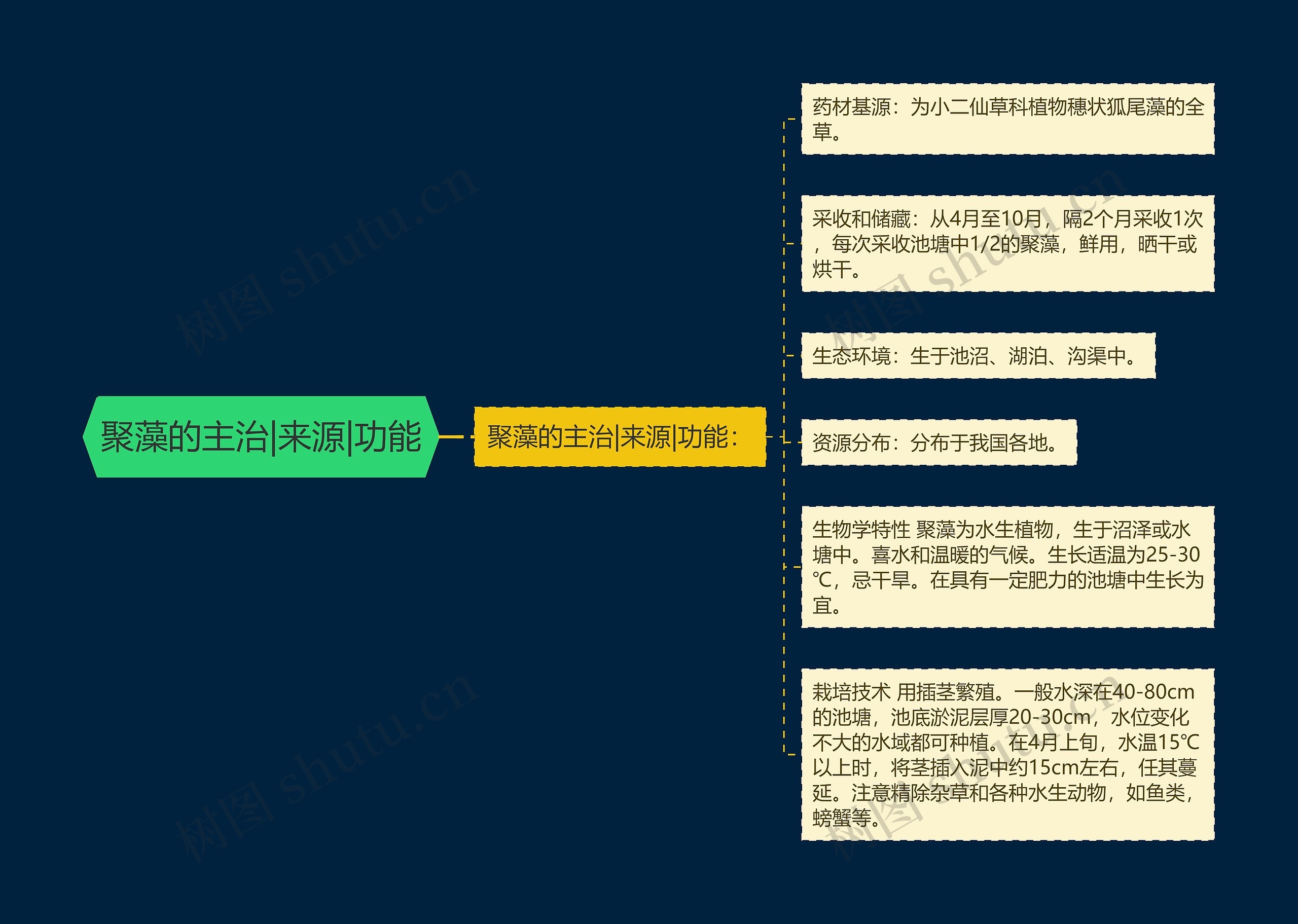 聚藻的主治|来源|功能思维导图