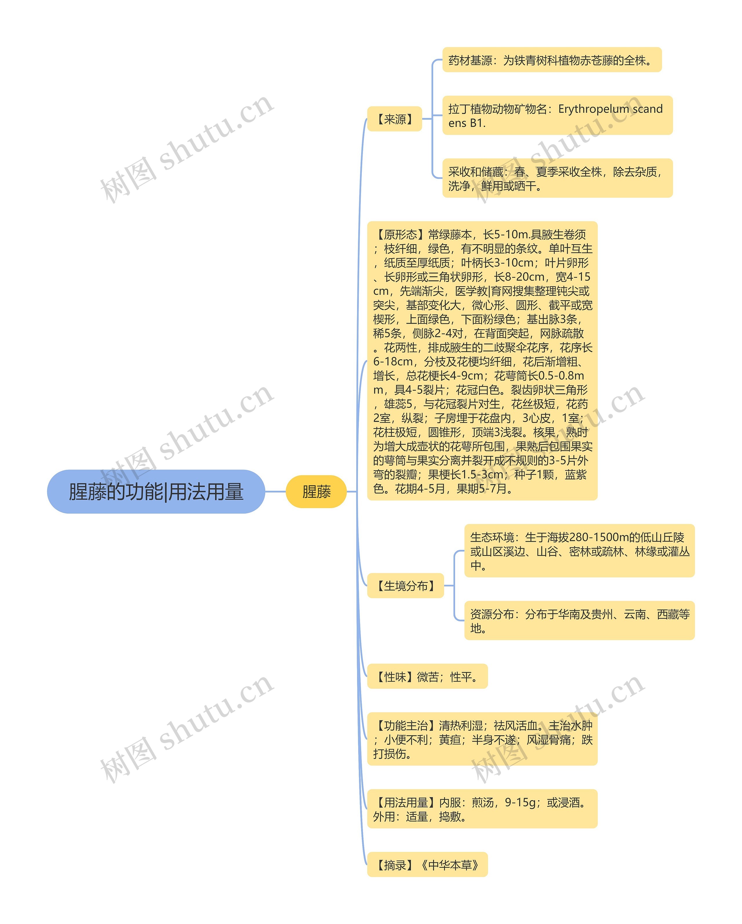 腥藤的功能|用法用量思维导图