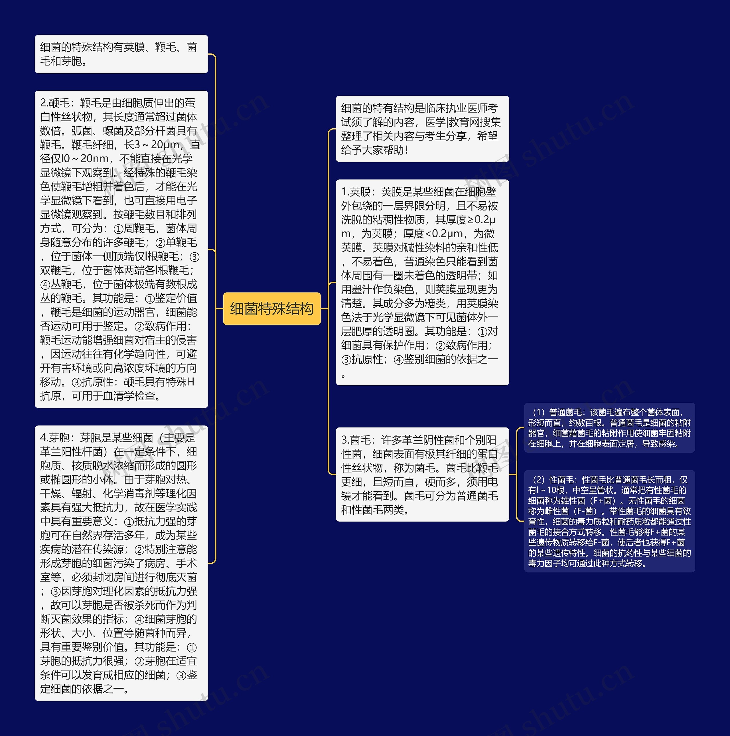 细菌特殊结构思维导图