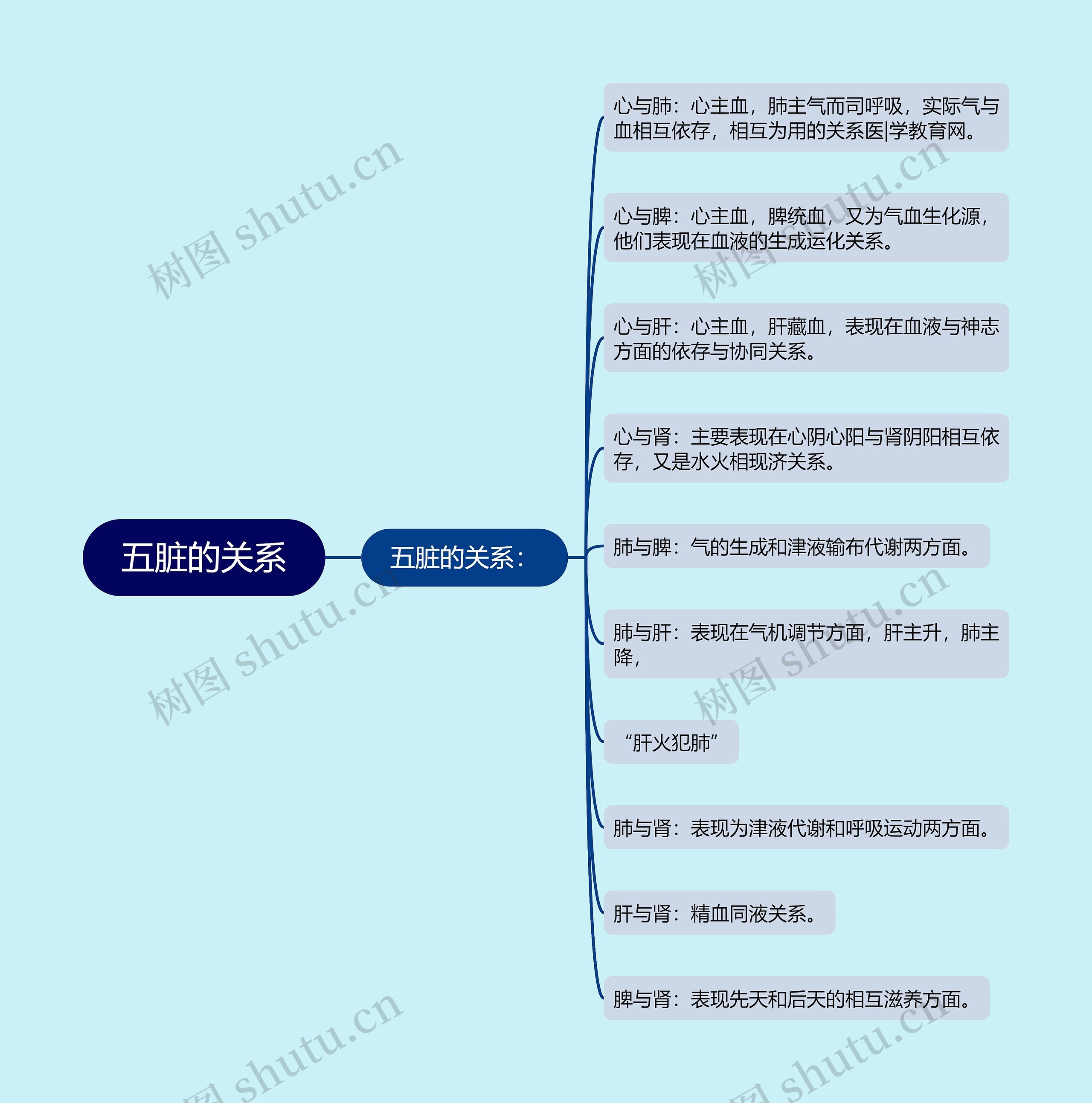 五脏的关系思维导图