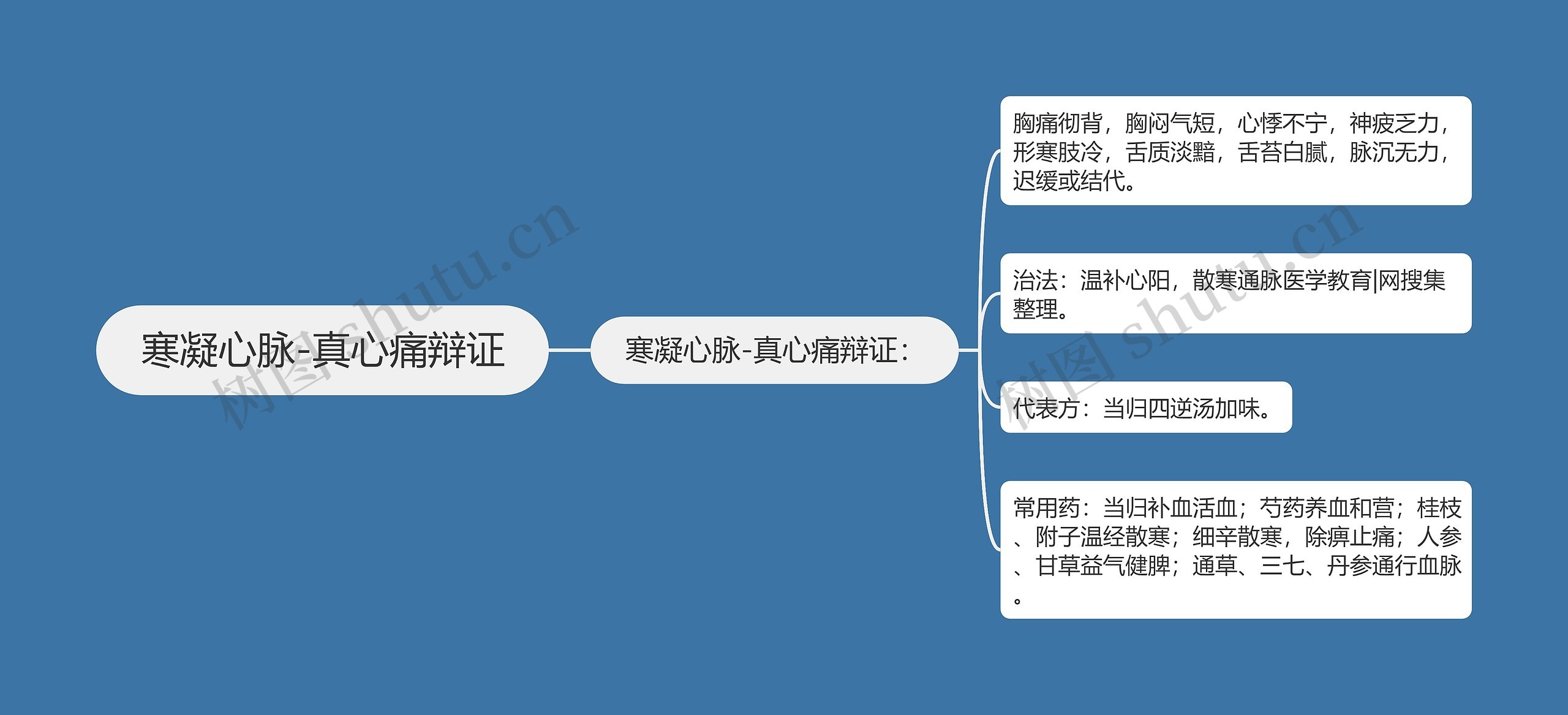 寒凝心脉-真心痛辩证思维导图