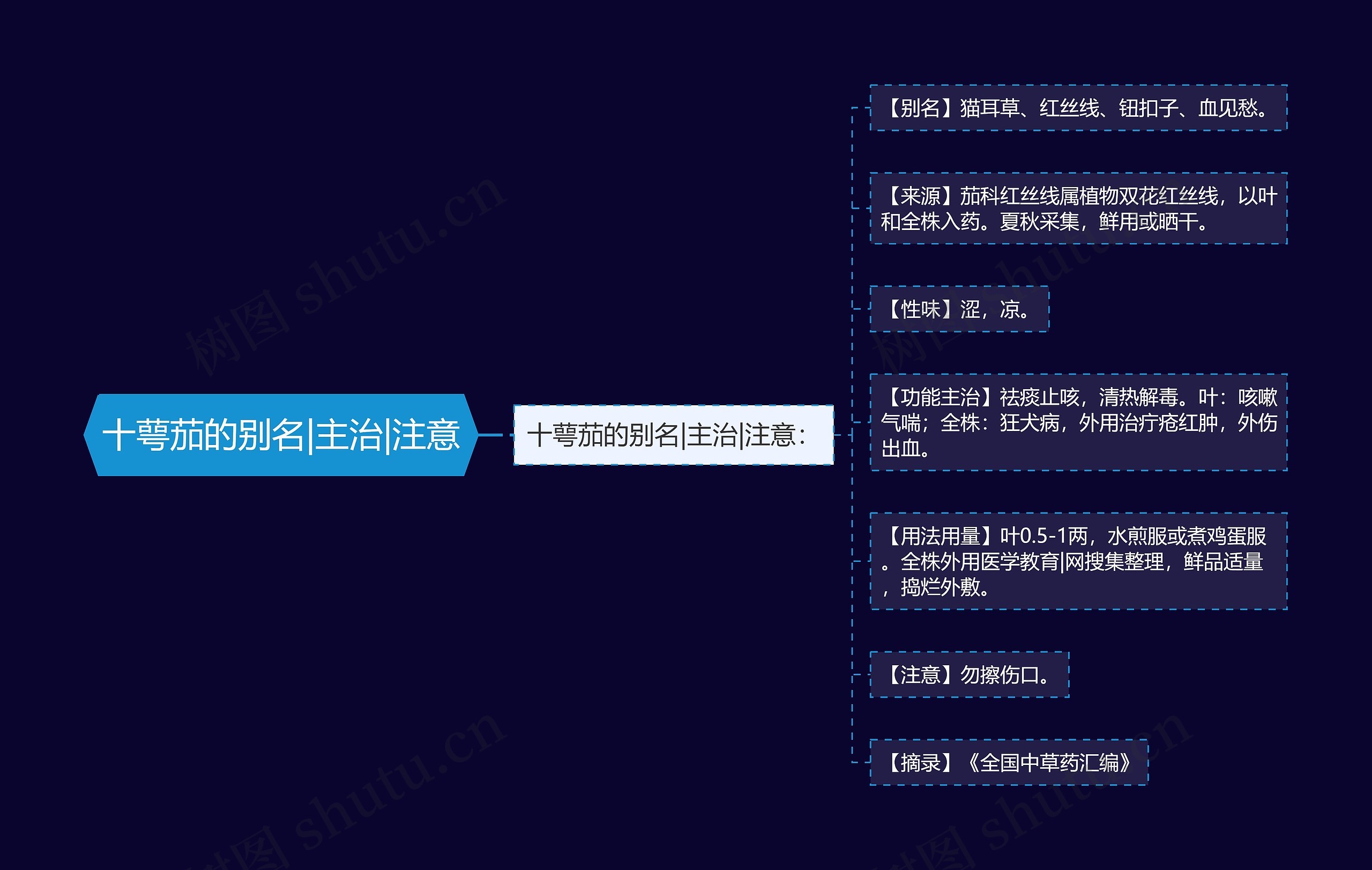 十萼茄的别名|主治|注意思维导图