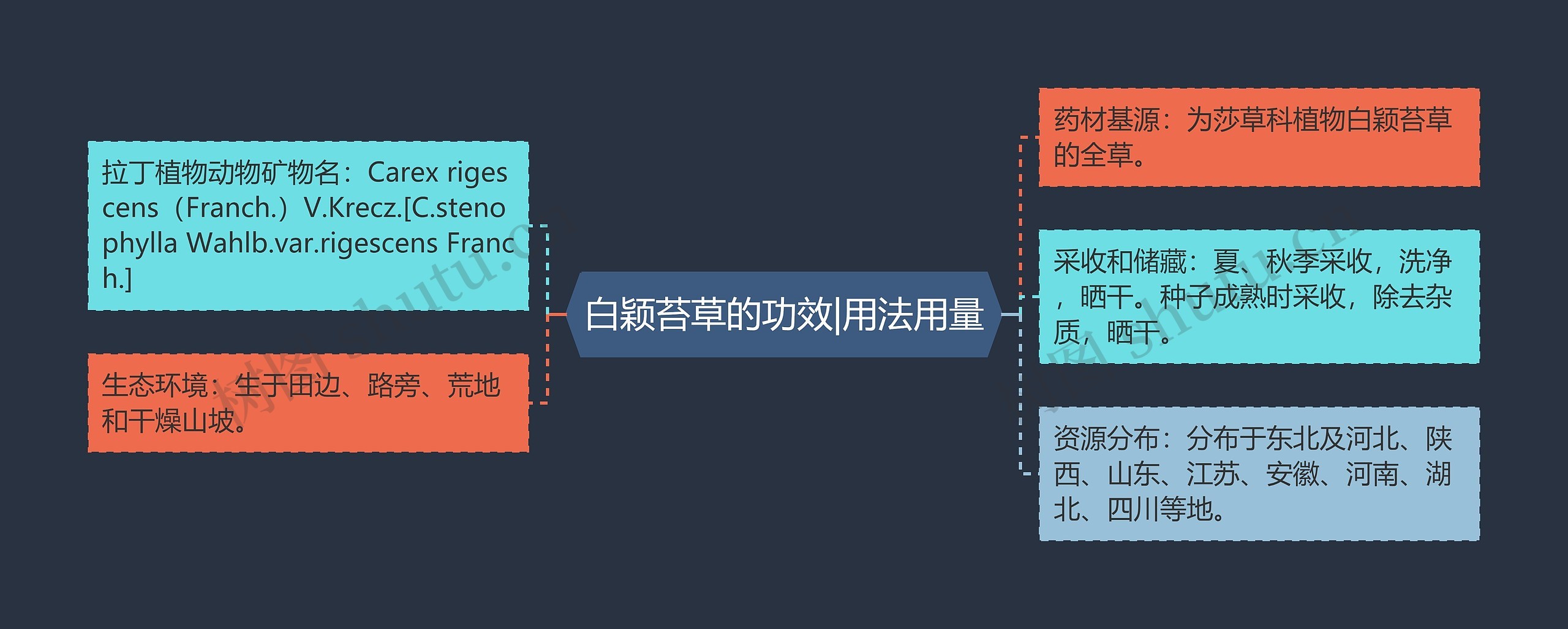 白颖苔草的功效|用法用量思维导图