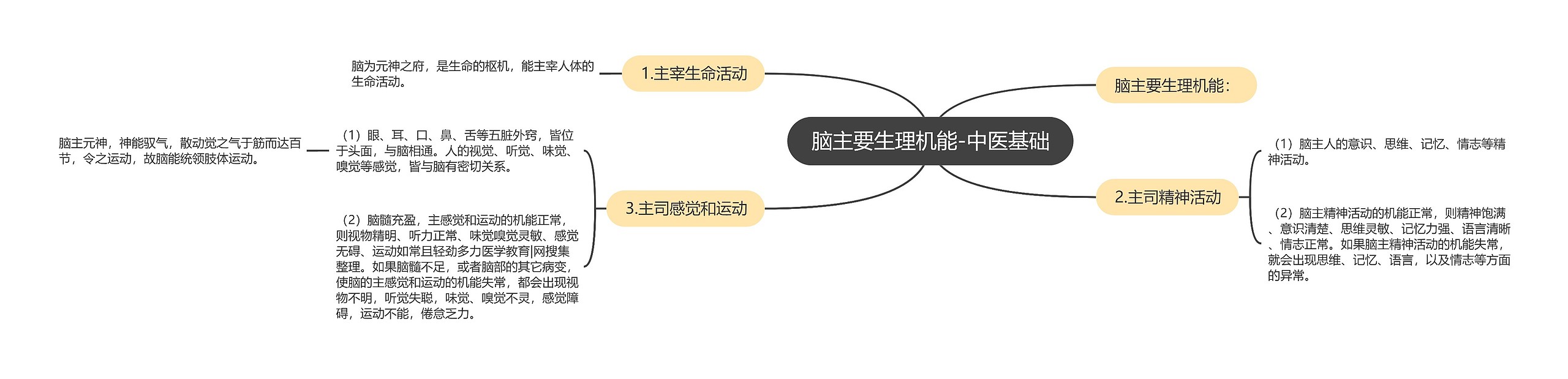 脑主要生理机能-中医基础