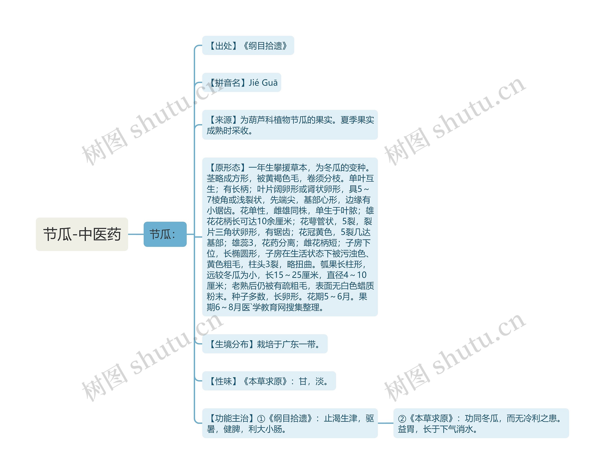 节瓜-中医药思维导图