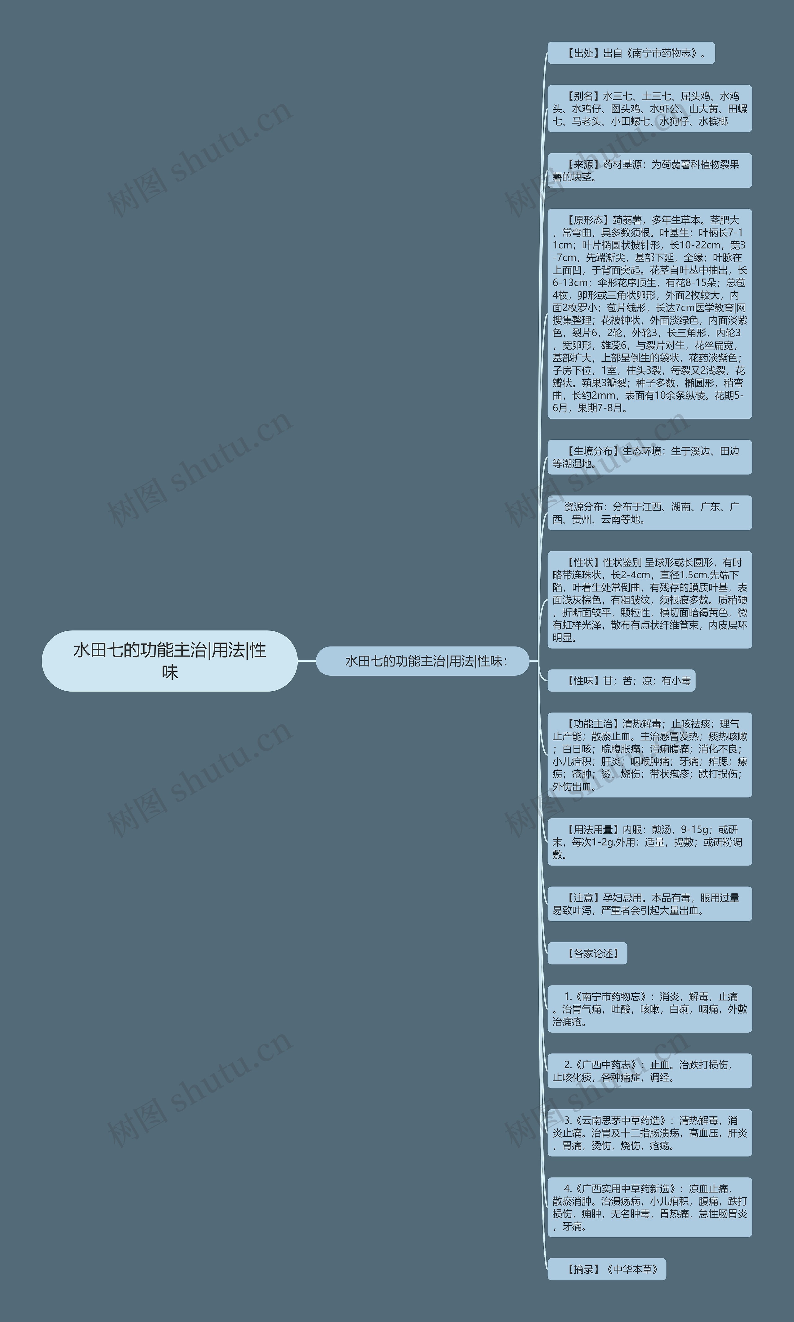 水田七的功能主治|用法|性味思维导图