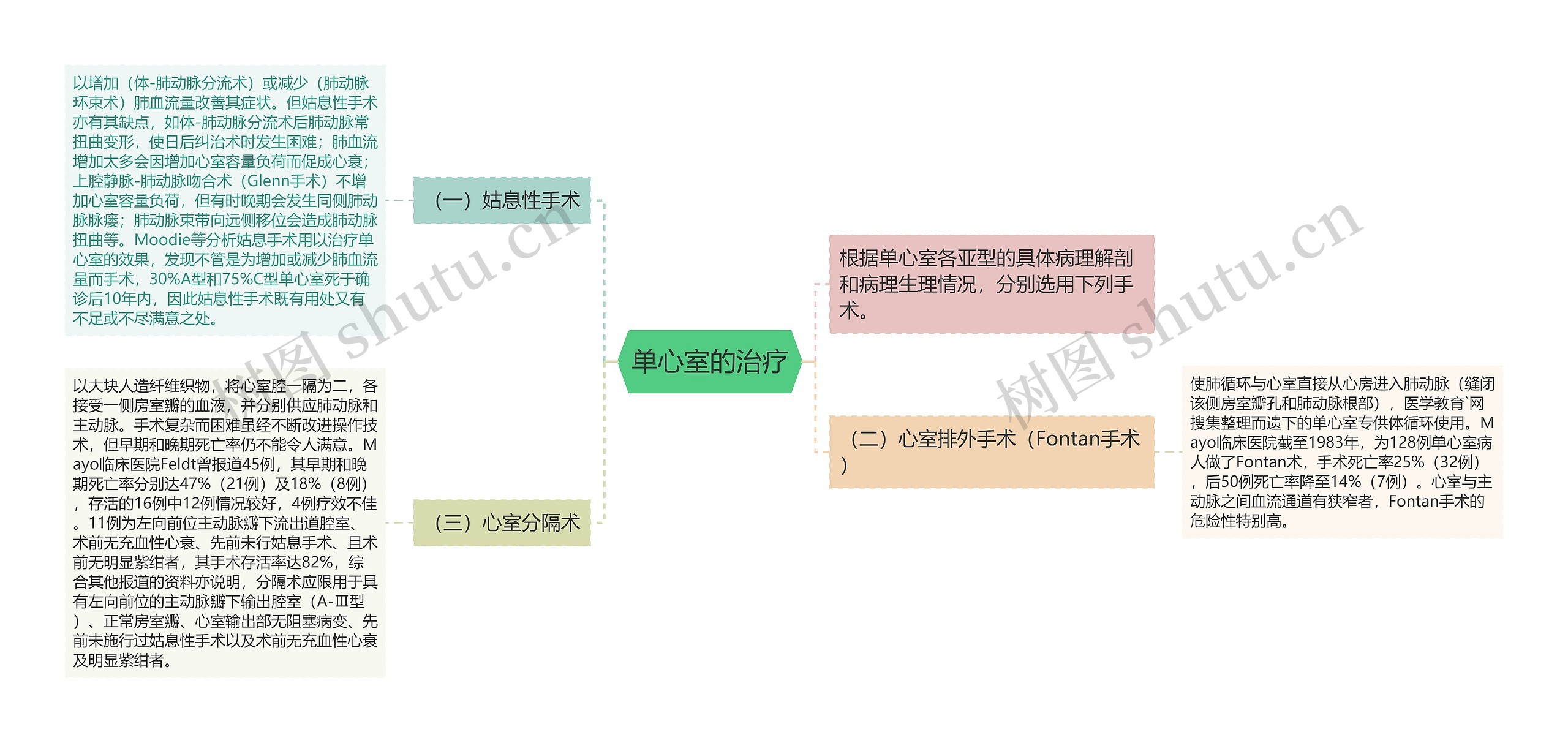 单心室的治疗