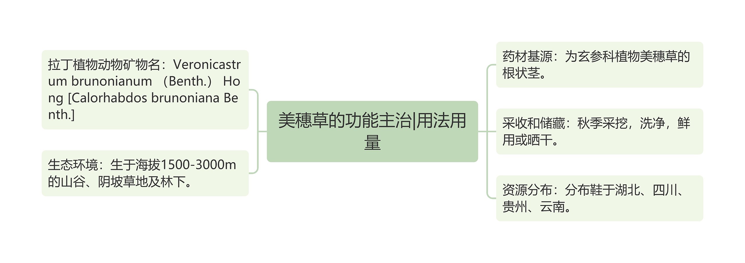 美穗草的功能主治|用法用量