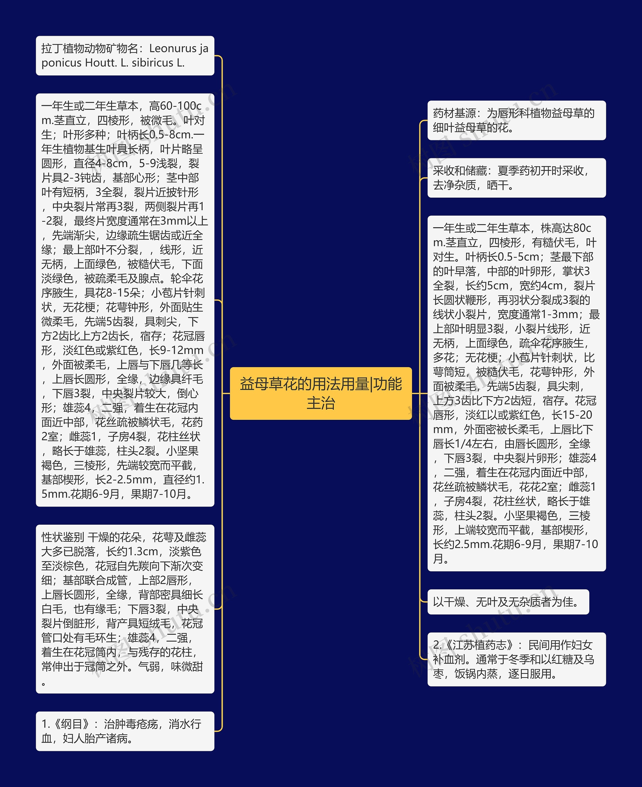 益母草花的用法用量|功能主治
