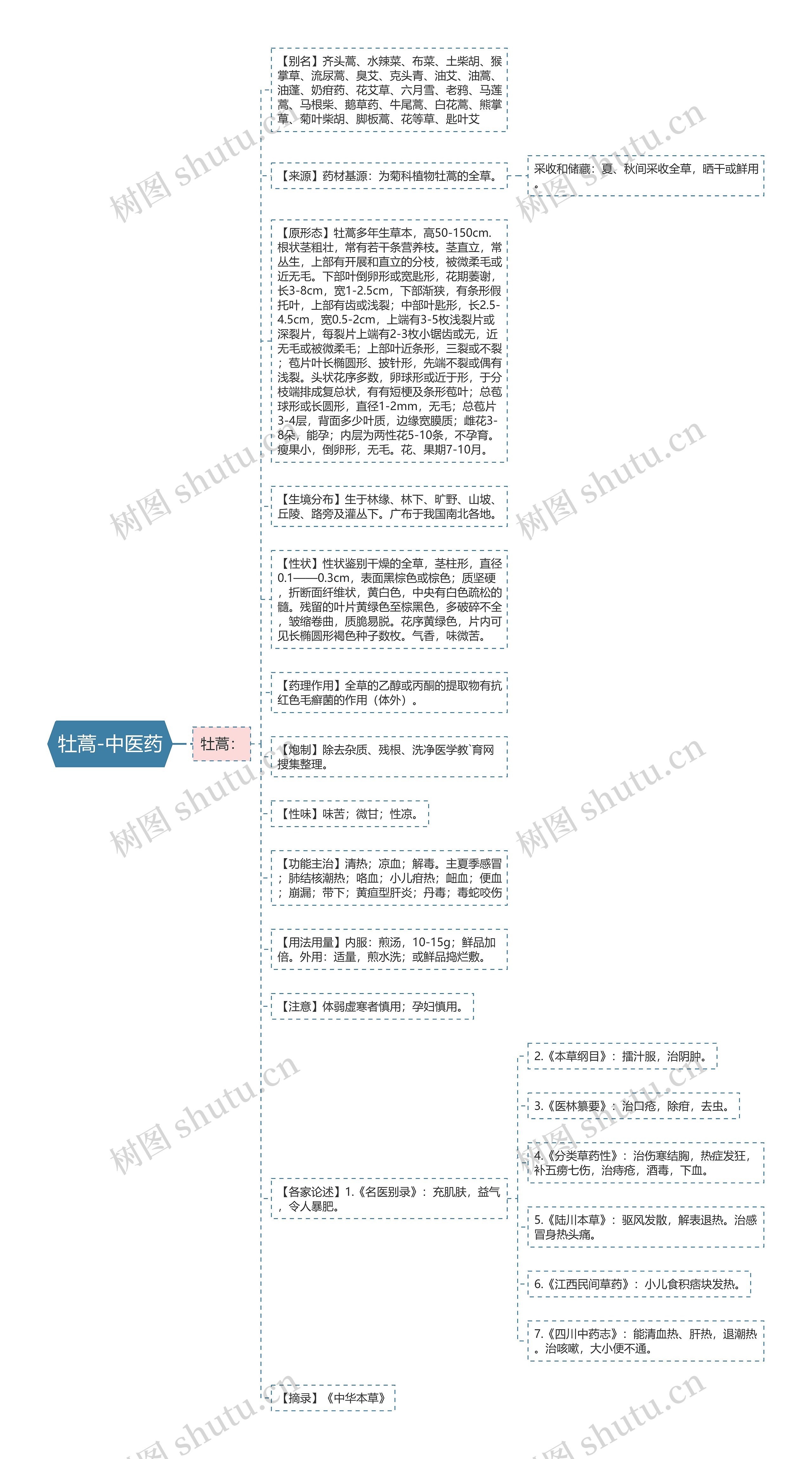 牡蒿-中医药思维导图