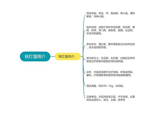 铁灯盏简介