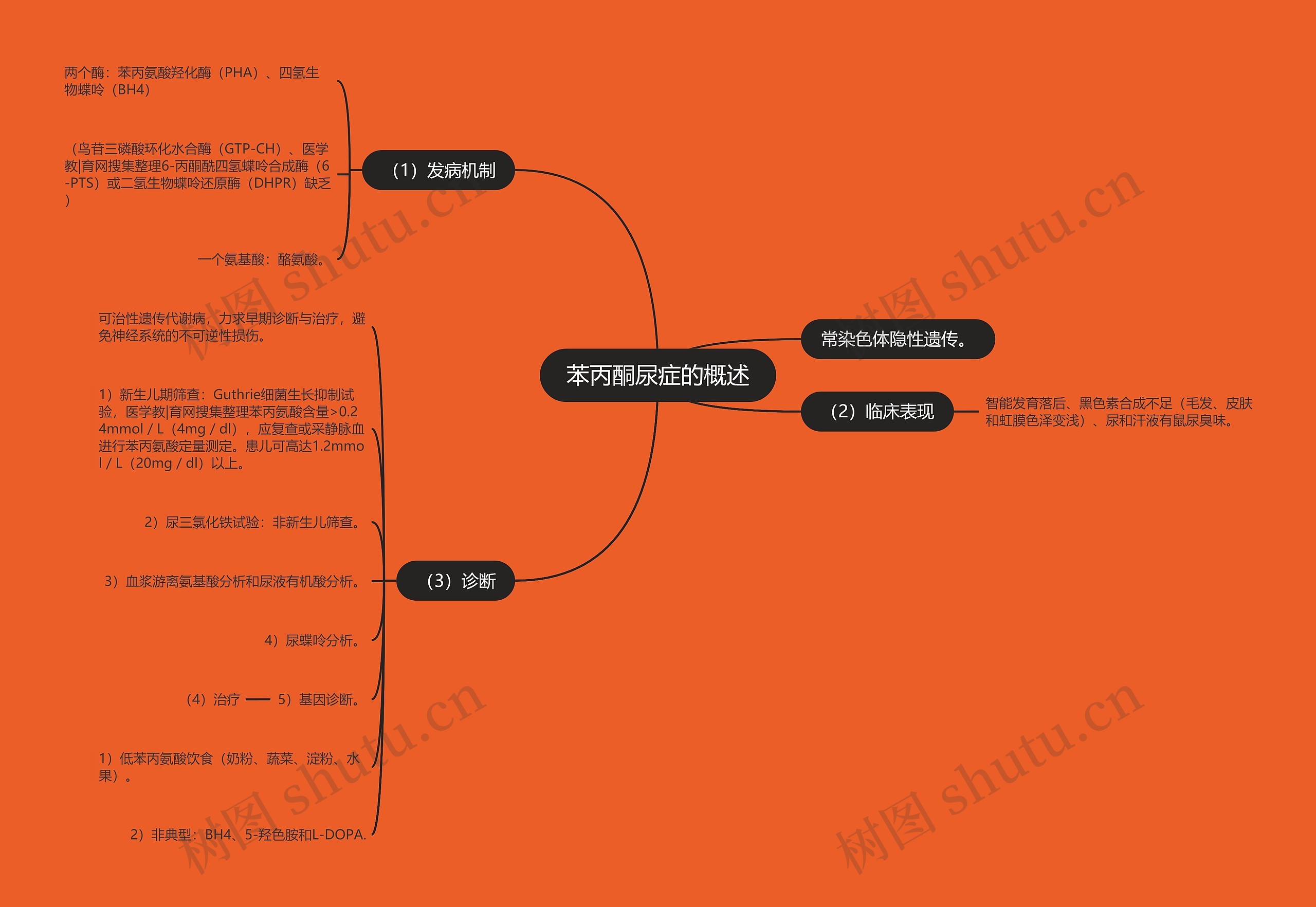 苯丙酮尿症的概述思维导图