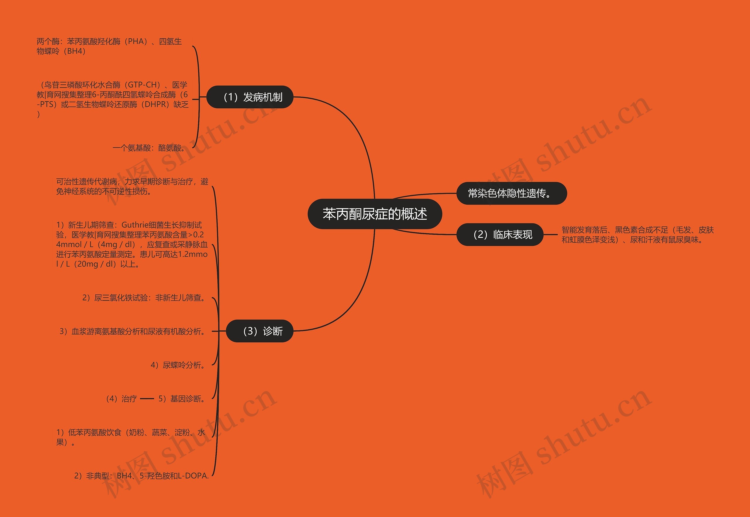 苯丙酮尿症的概述 苯丙酮尿症的概述