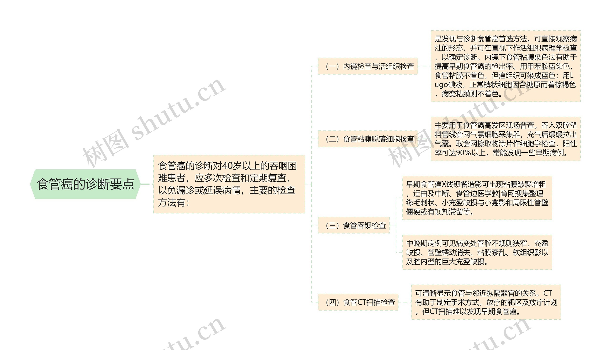 食管癌的诊断要点思维导图