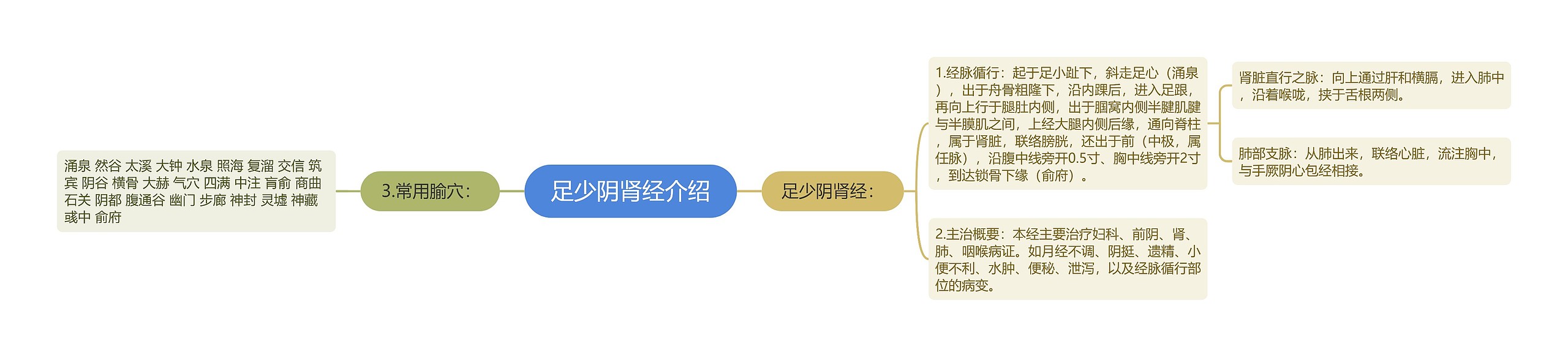 足少阴肾经介绍思维导图