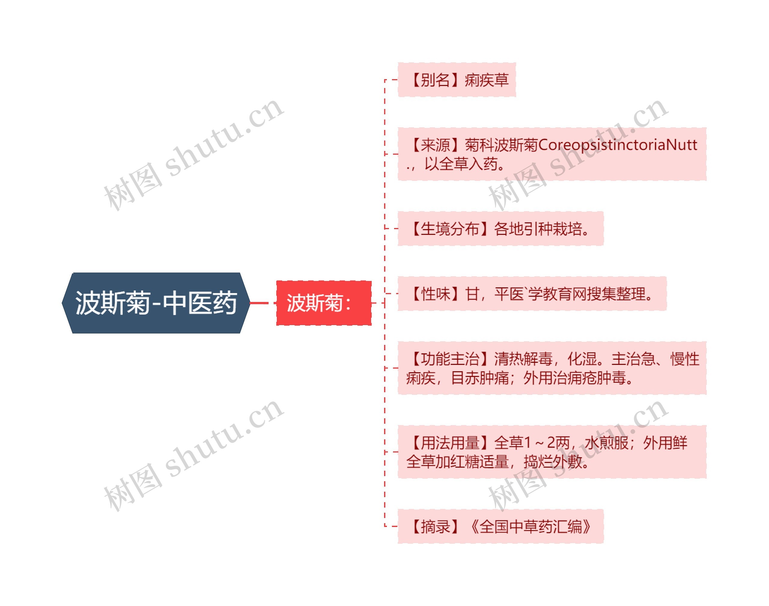 波斯菊-中医药 波斯菊-中医药