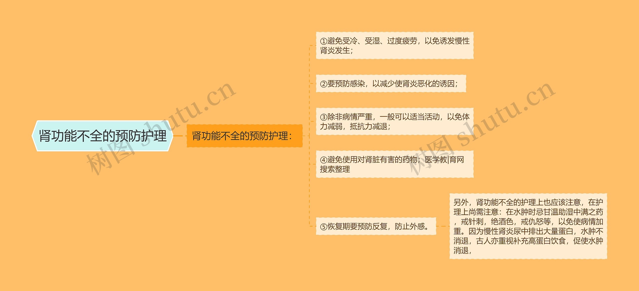肾功能不全的预防护理