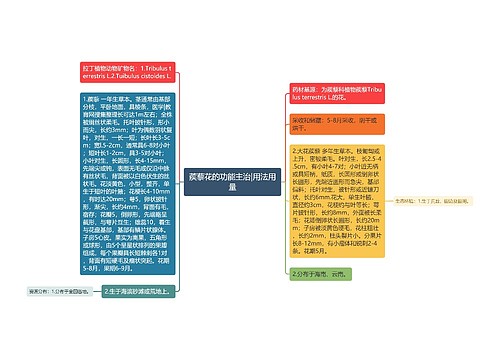 蒺藜花的功能主治|用法用量