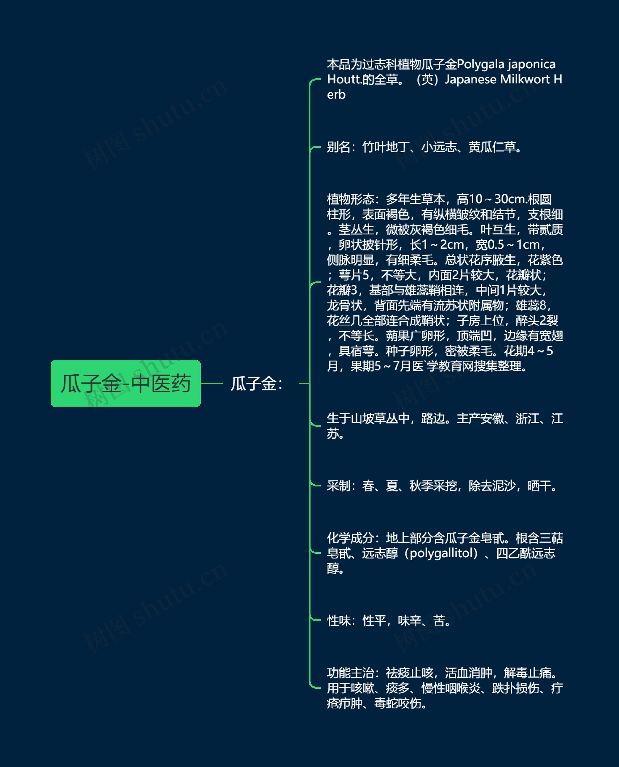 瓜子金-中医药思维导图