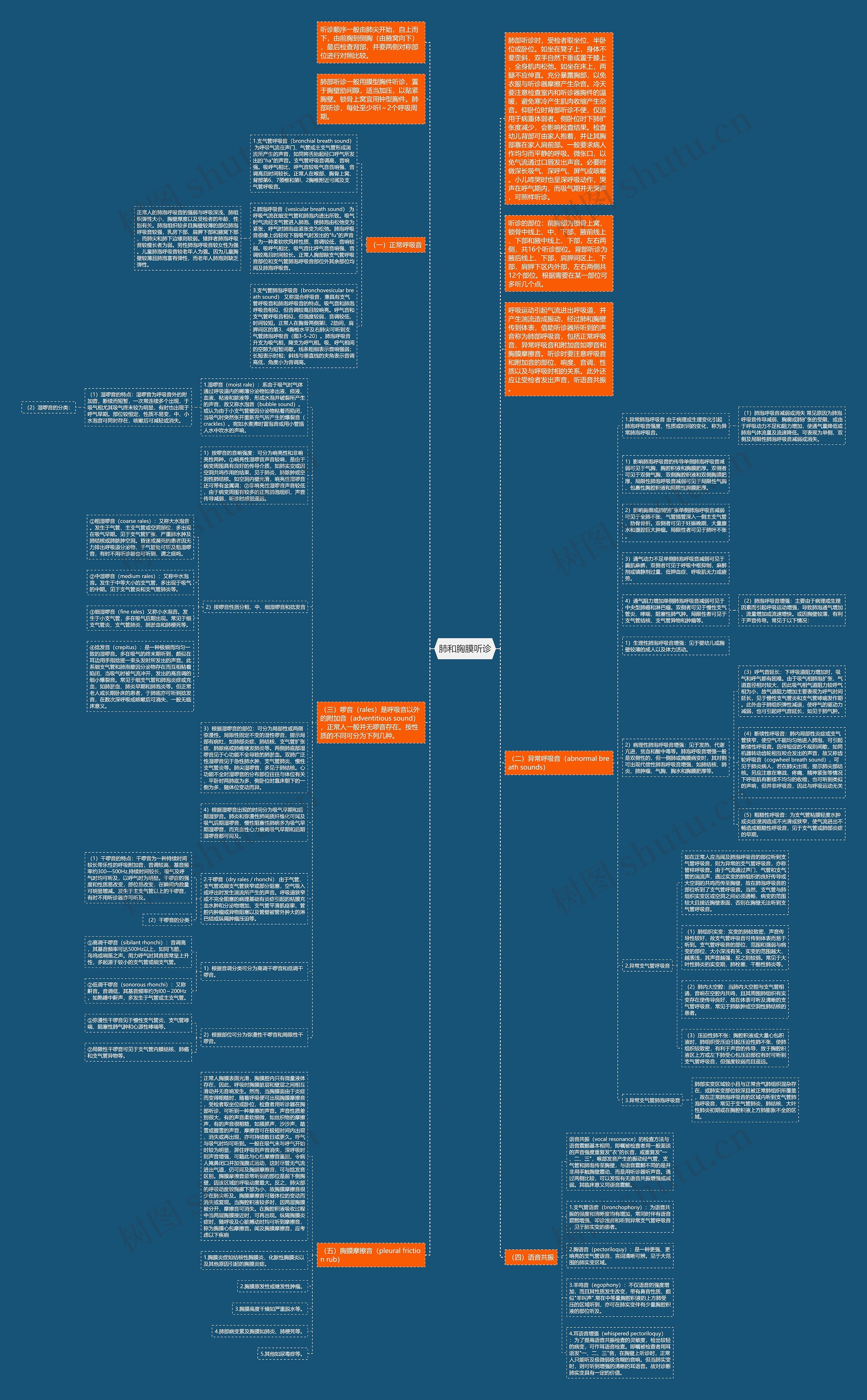 肺和胸膜听诊思维导图