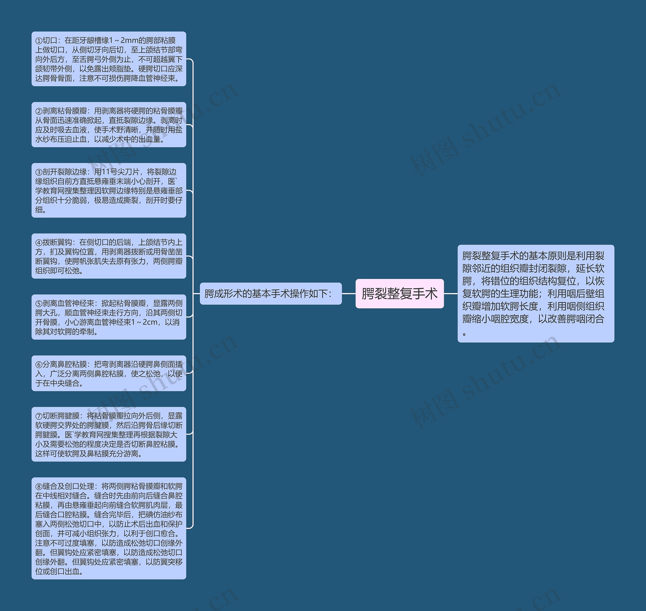 腭裂整复手术