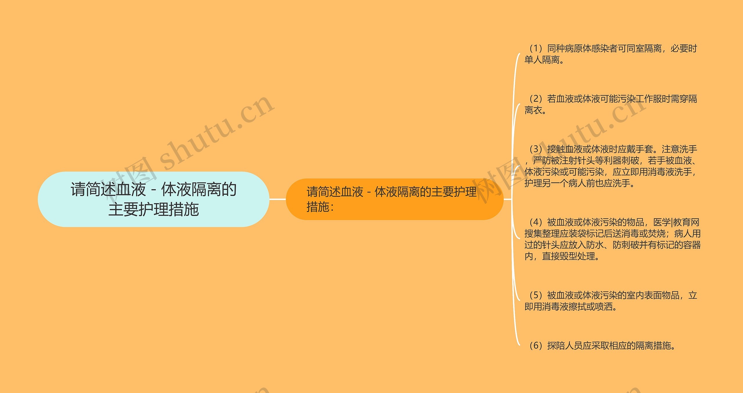 请简述血液－体液隔离的主要护理措施思维导图