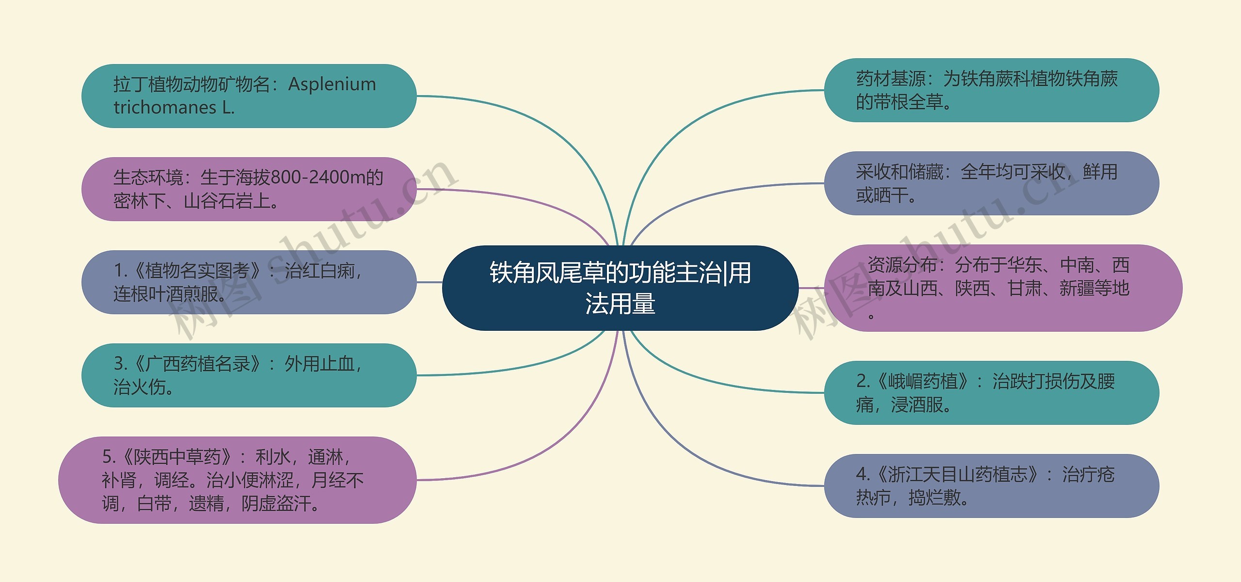 铁角凤尾草的功能主治|用法用量思维导图