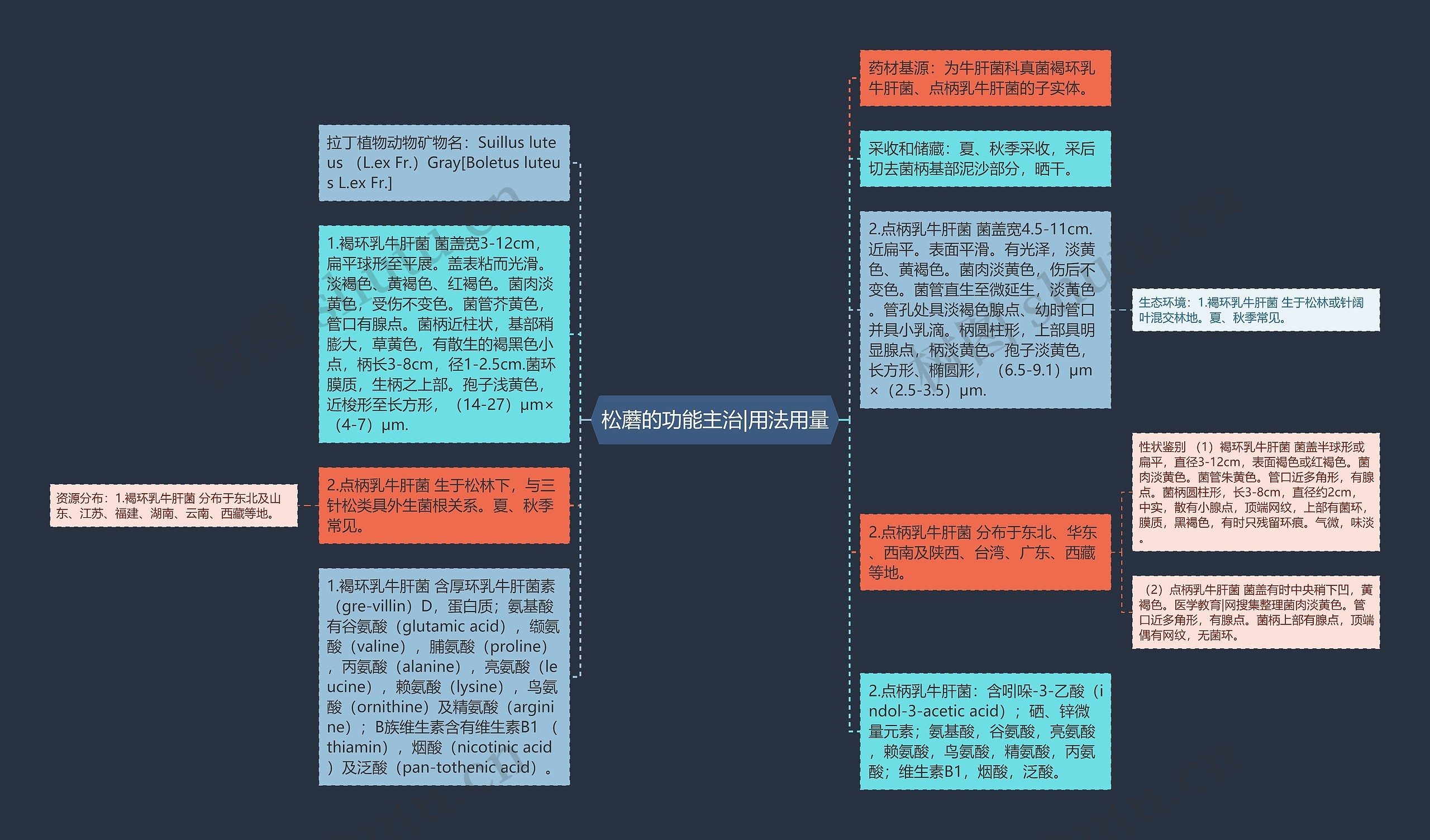 松蘑的功能主治|用法用量思维导图