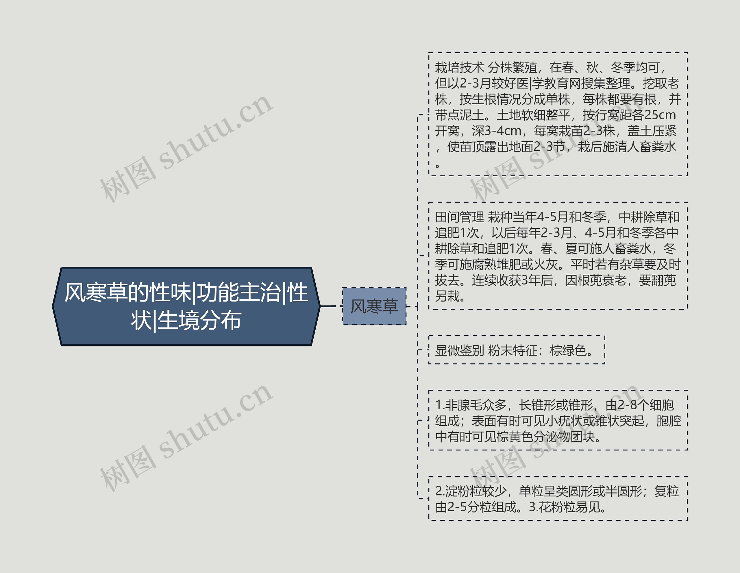 风寒草的性味|功能主治|性状|生境分布思维导图