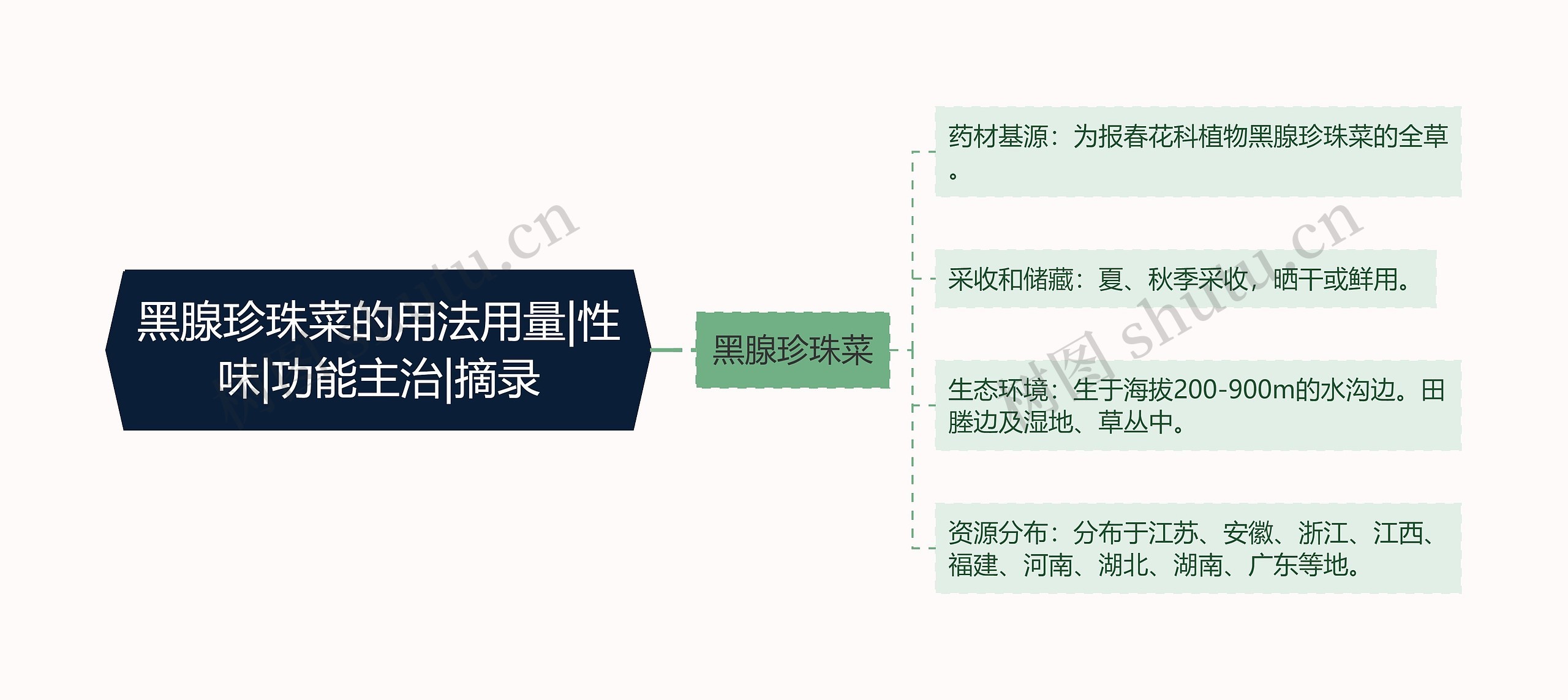 黑腺珍珠菜的用法用量|性味|功能主治|摘录思维导图