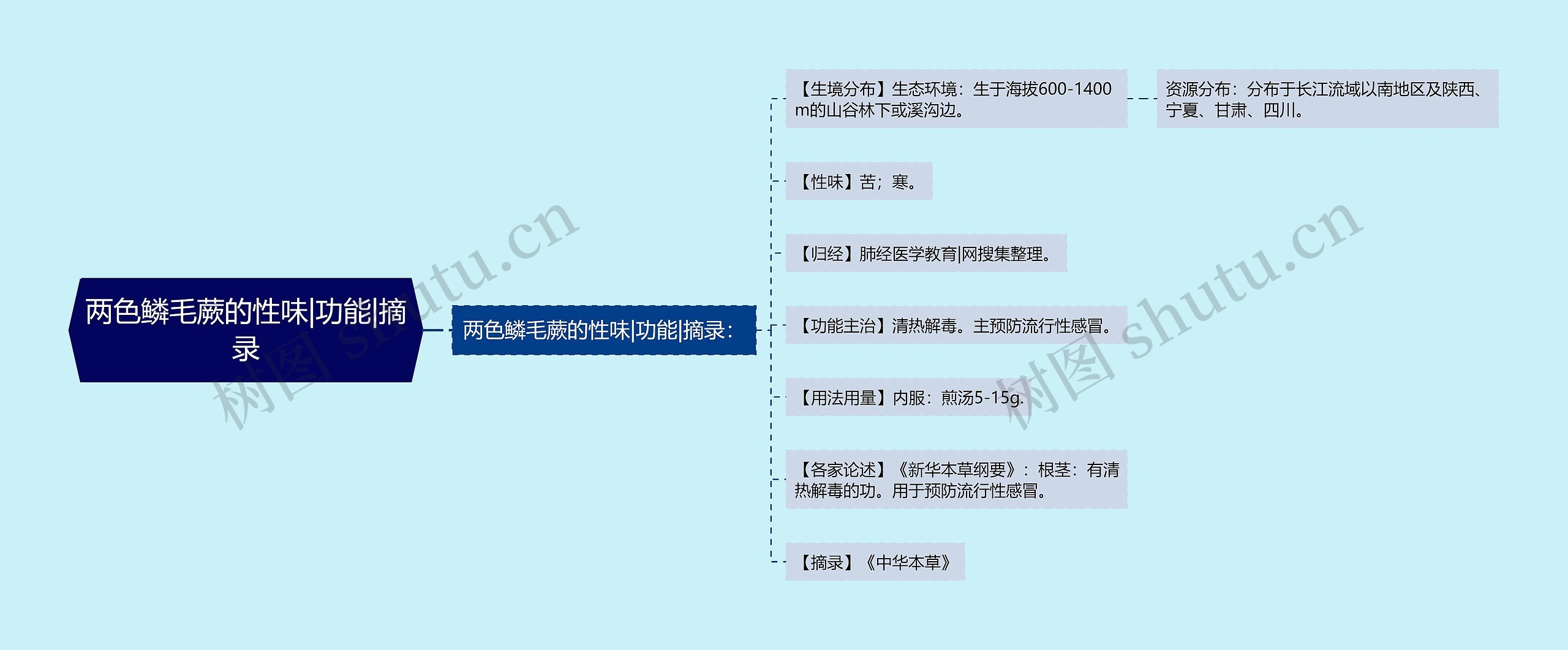 两色鳞毛蕨的性味|功能|摘录思维导图