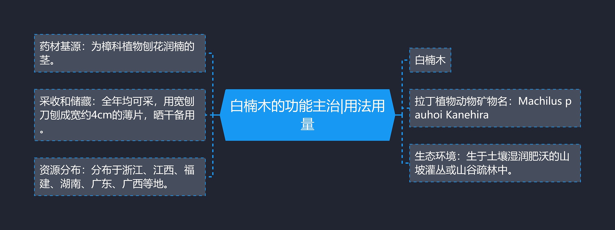 白楠木的功能主治|用法用量思维导图