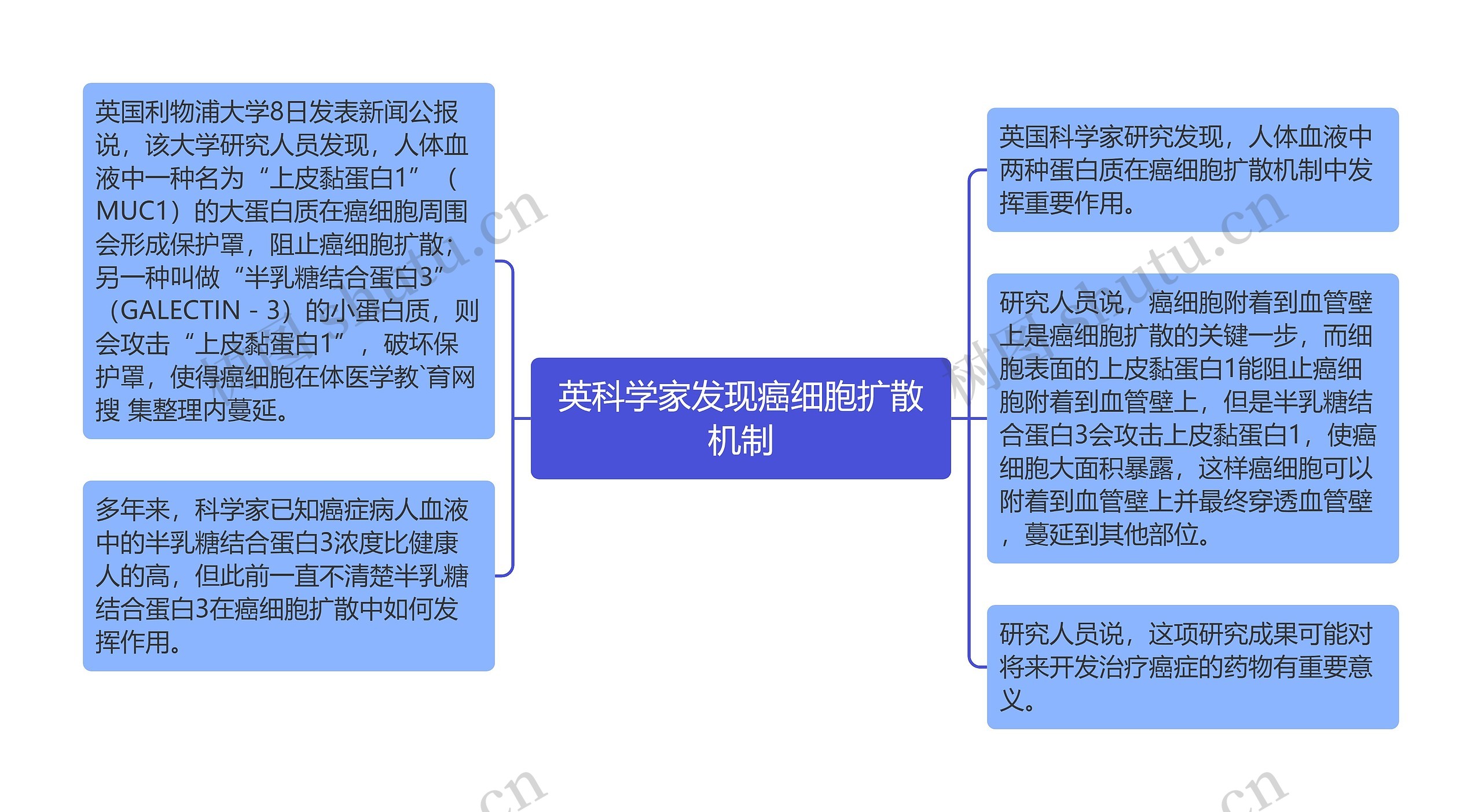 英科学家发现癌细胞扩散机制