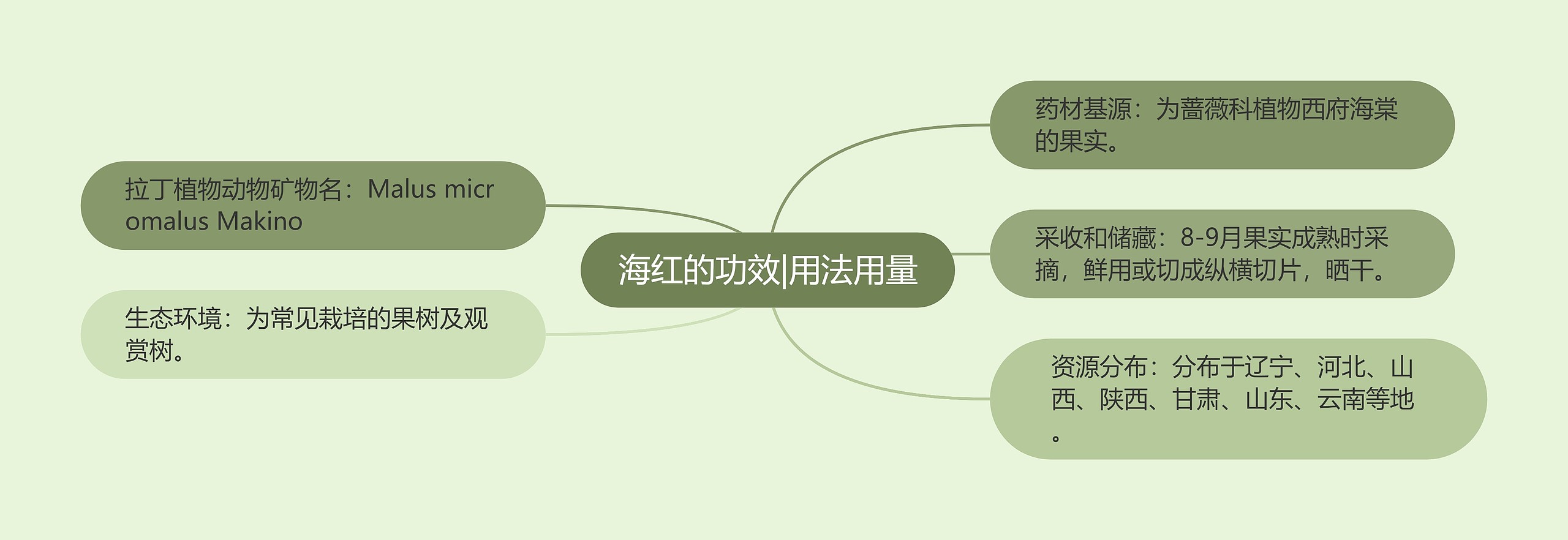 海红的功效|用法用量