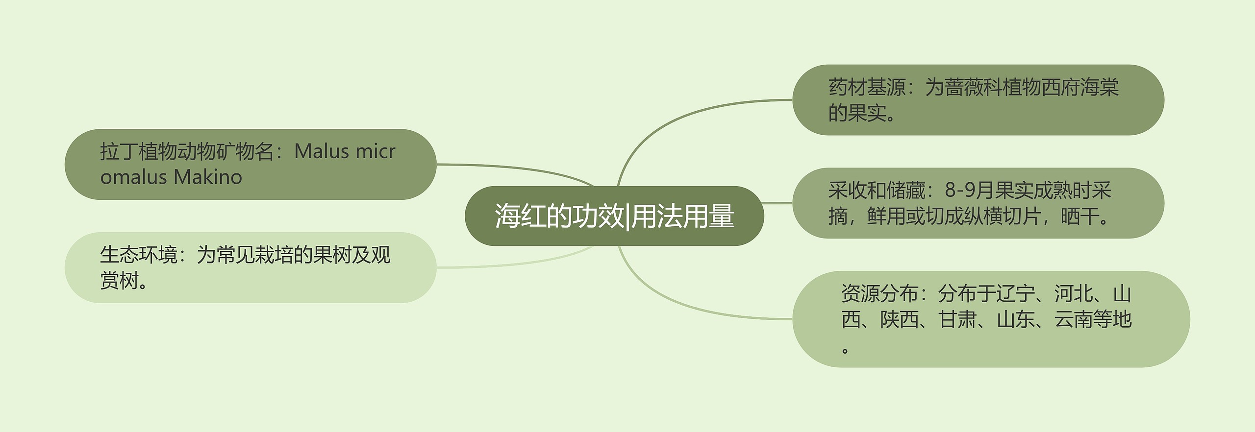 海红的功效|用法用量思维导图