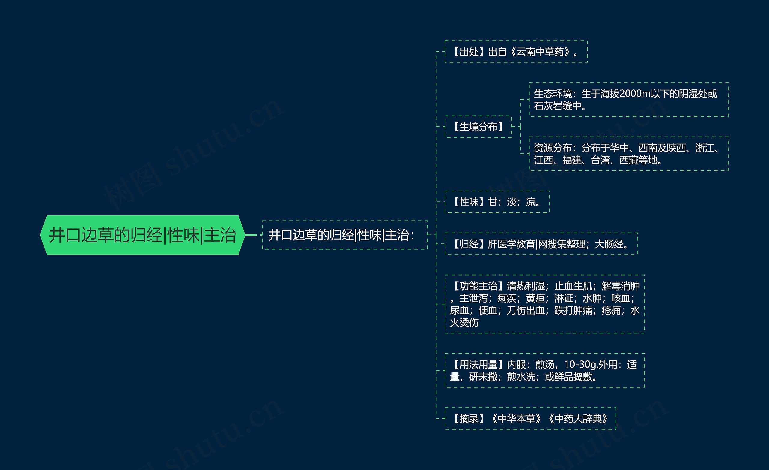 井口边草的归经|性味|主治思维导图