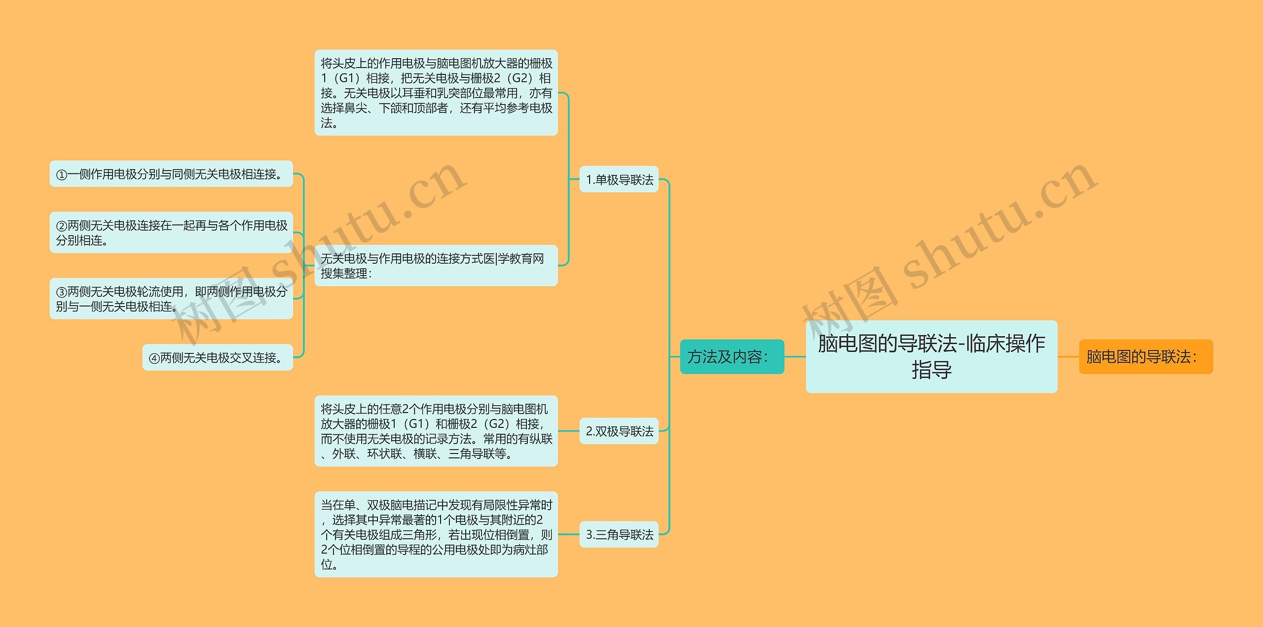 脑电图的导联法-临床操作指导思维导图