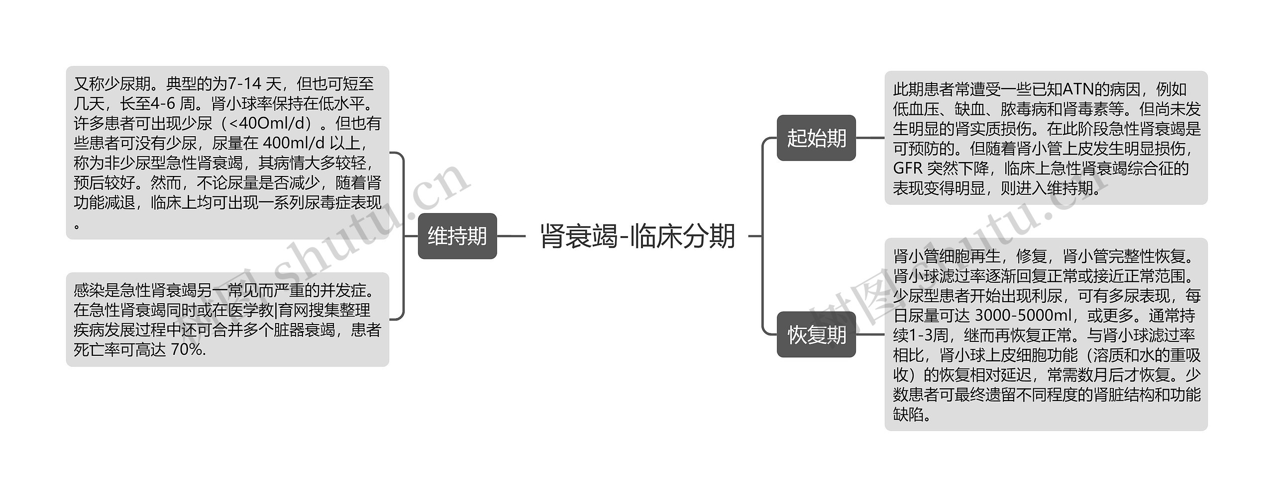 肾衰竭-临床分期