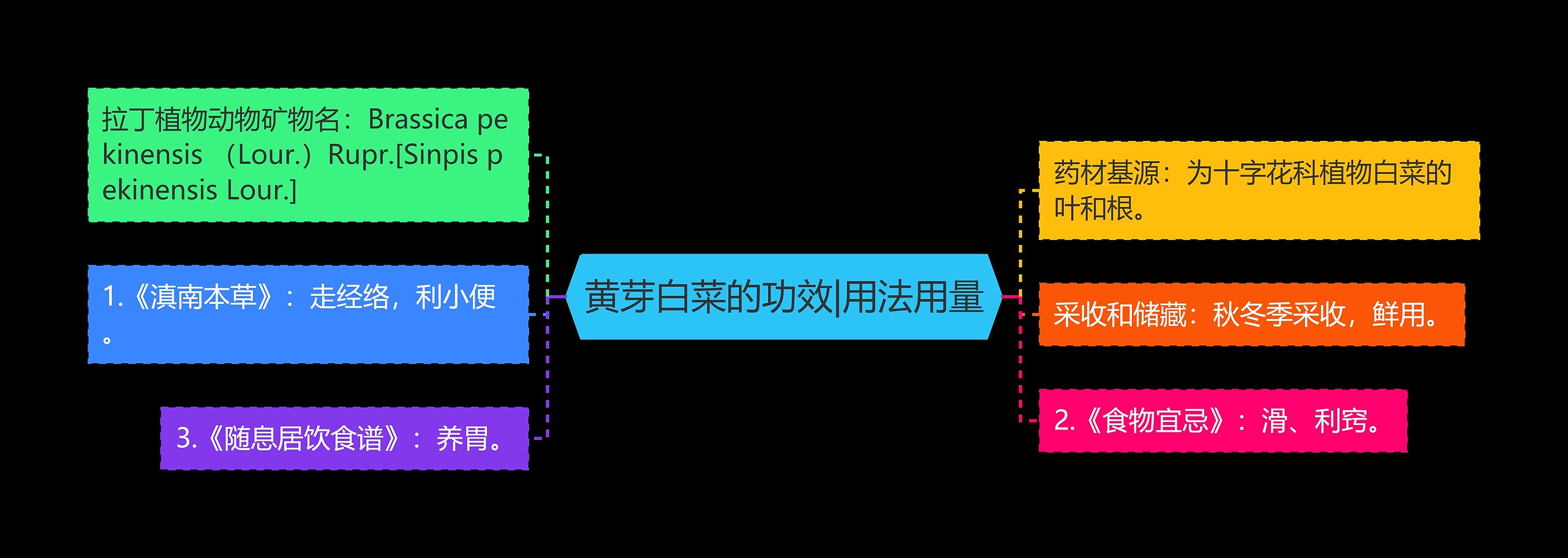 黄芽白菜的功效|用法用量思维导图