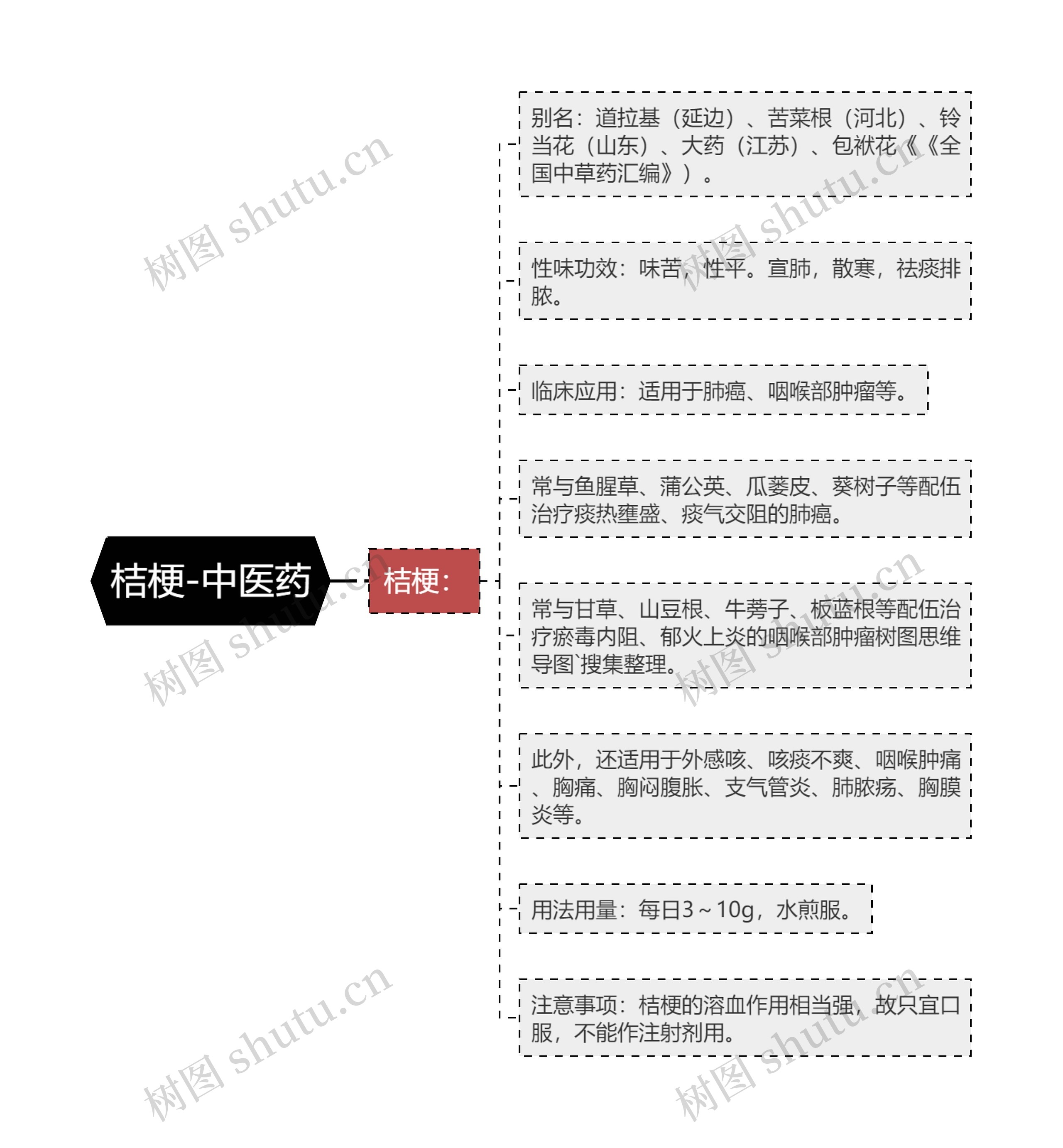 桔梗-中医药思维导图