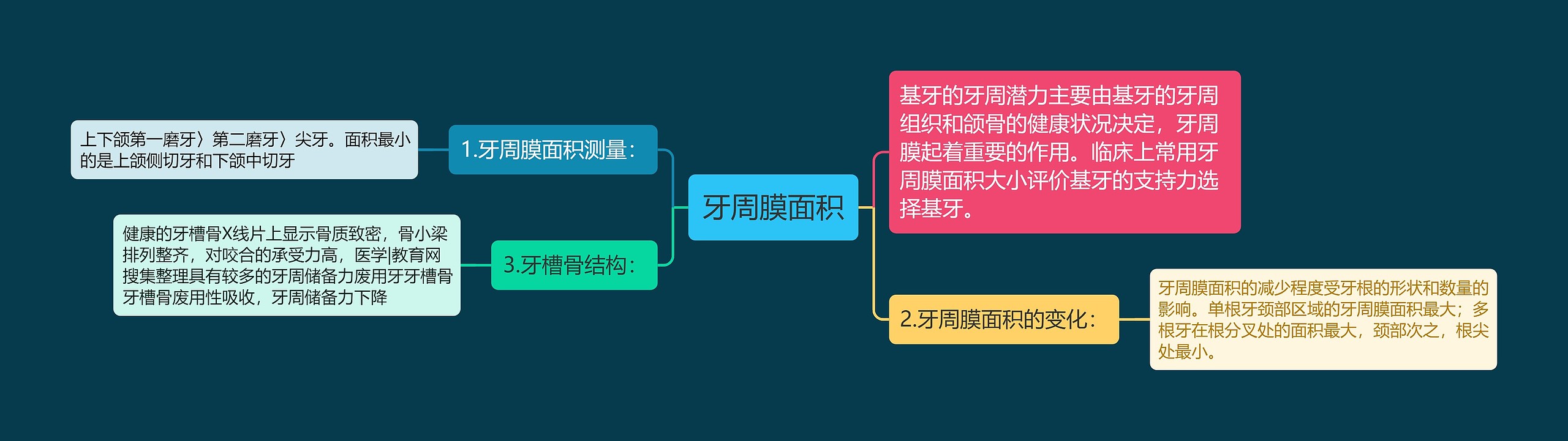 牙周膜面积 牙周膜面积