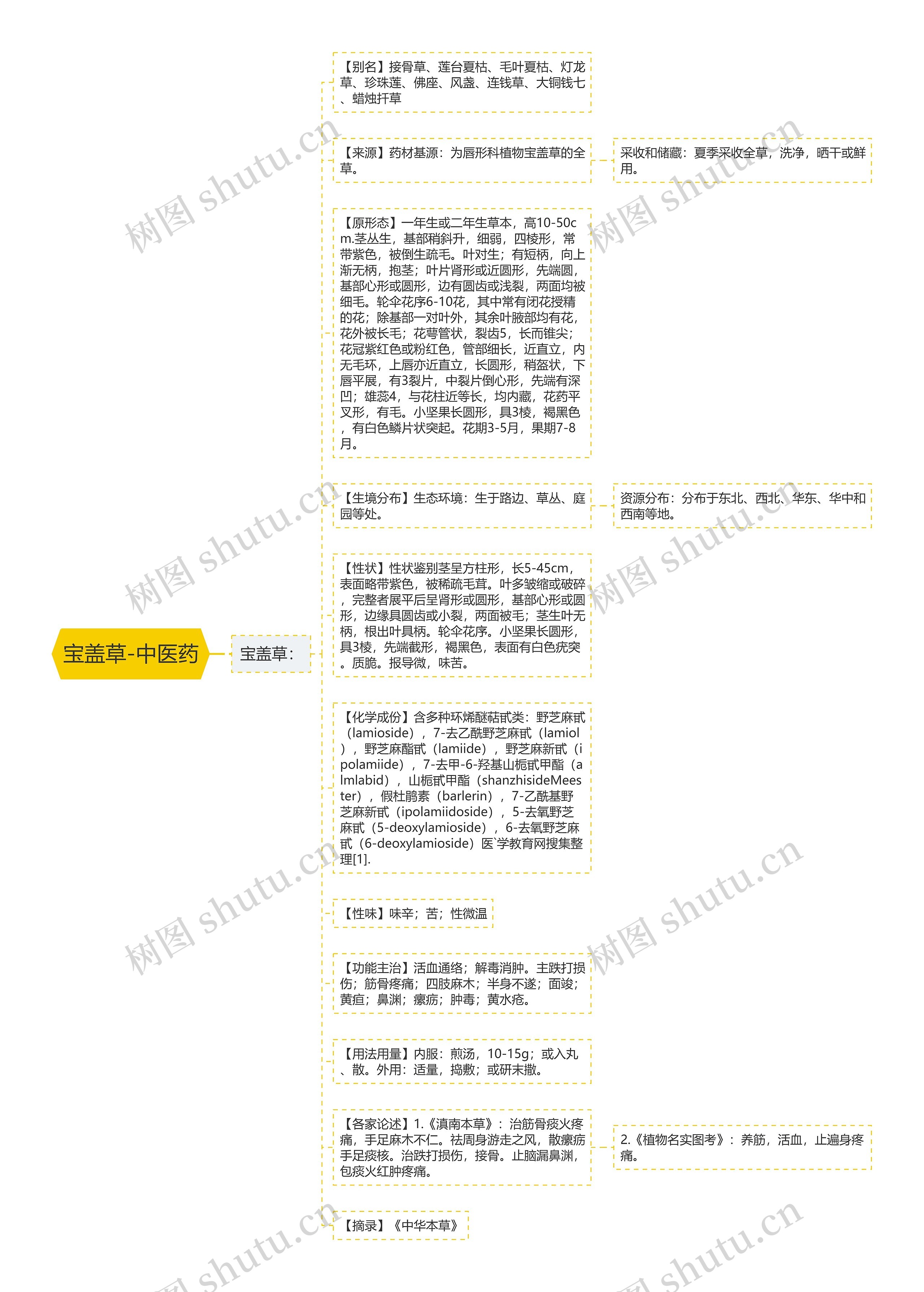 宝盖草-中医药思维导图