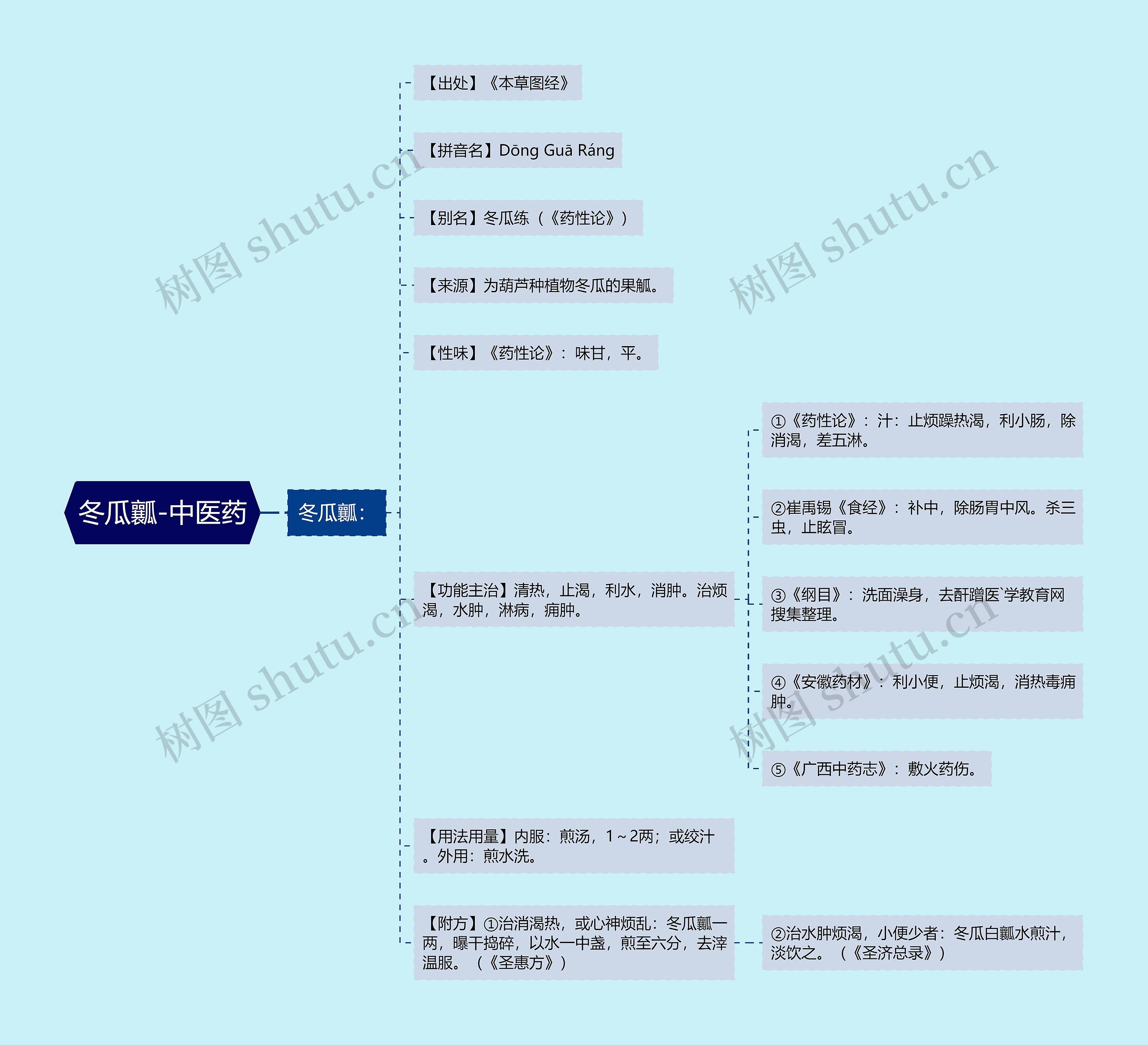 冬瓜瓤-中医药思维导图