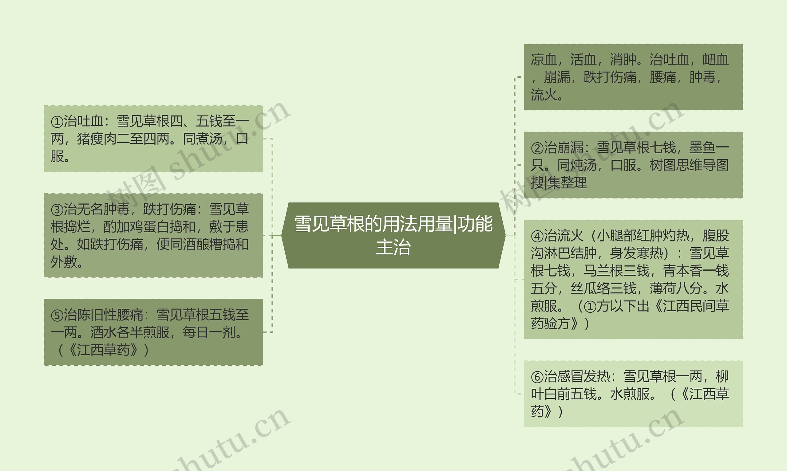 雪见草根的用法用量|功能主治思维导图