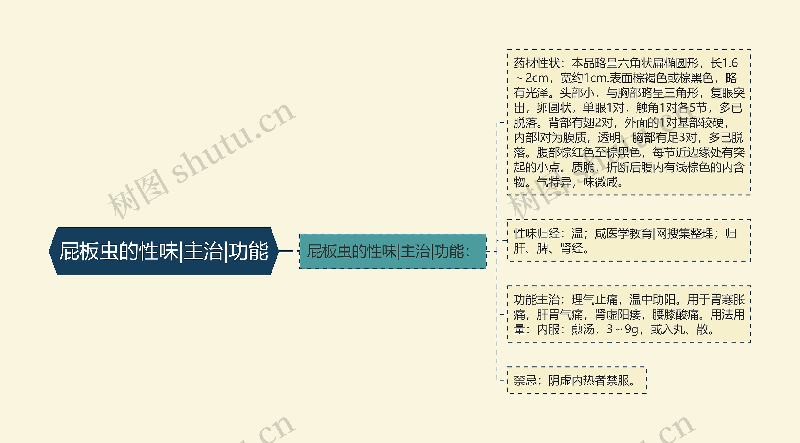 屁板虫的性味|主治|功能思维导图