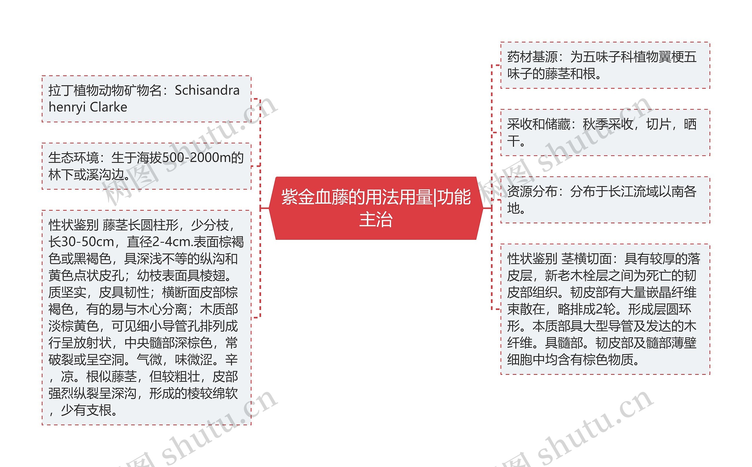 紫金血藤的用法用量|功能主治