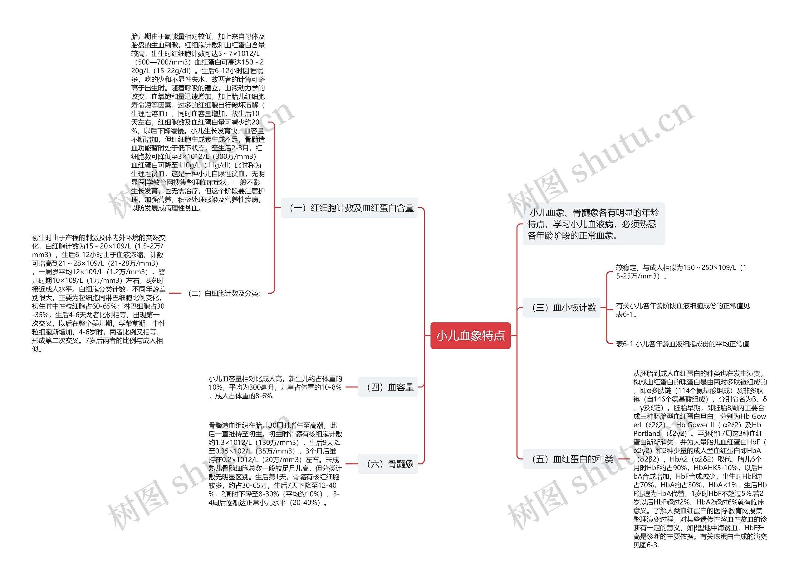 小儿血象特点思维导图