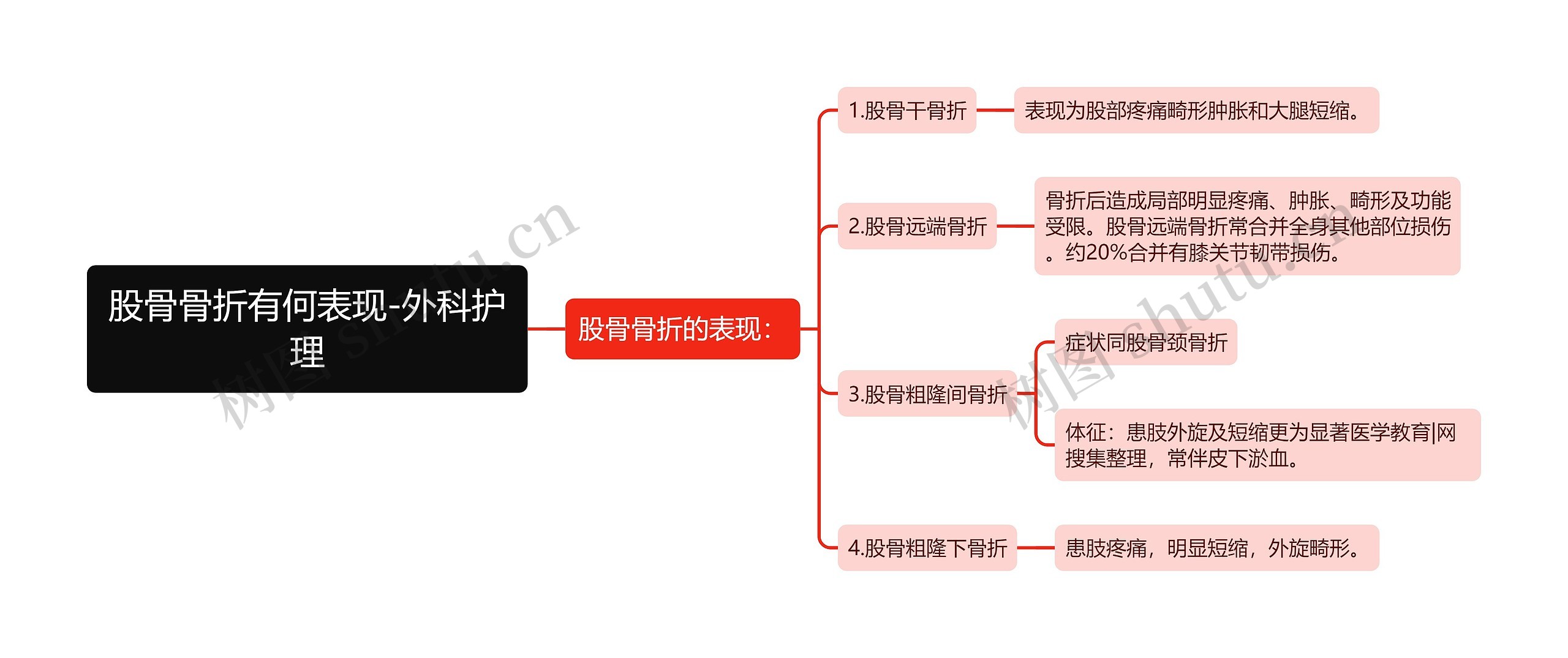 股骨骨折有何表现-外科护理