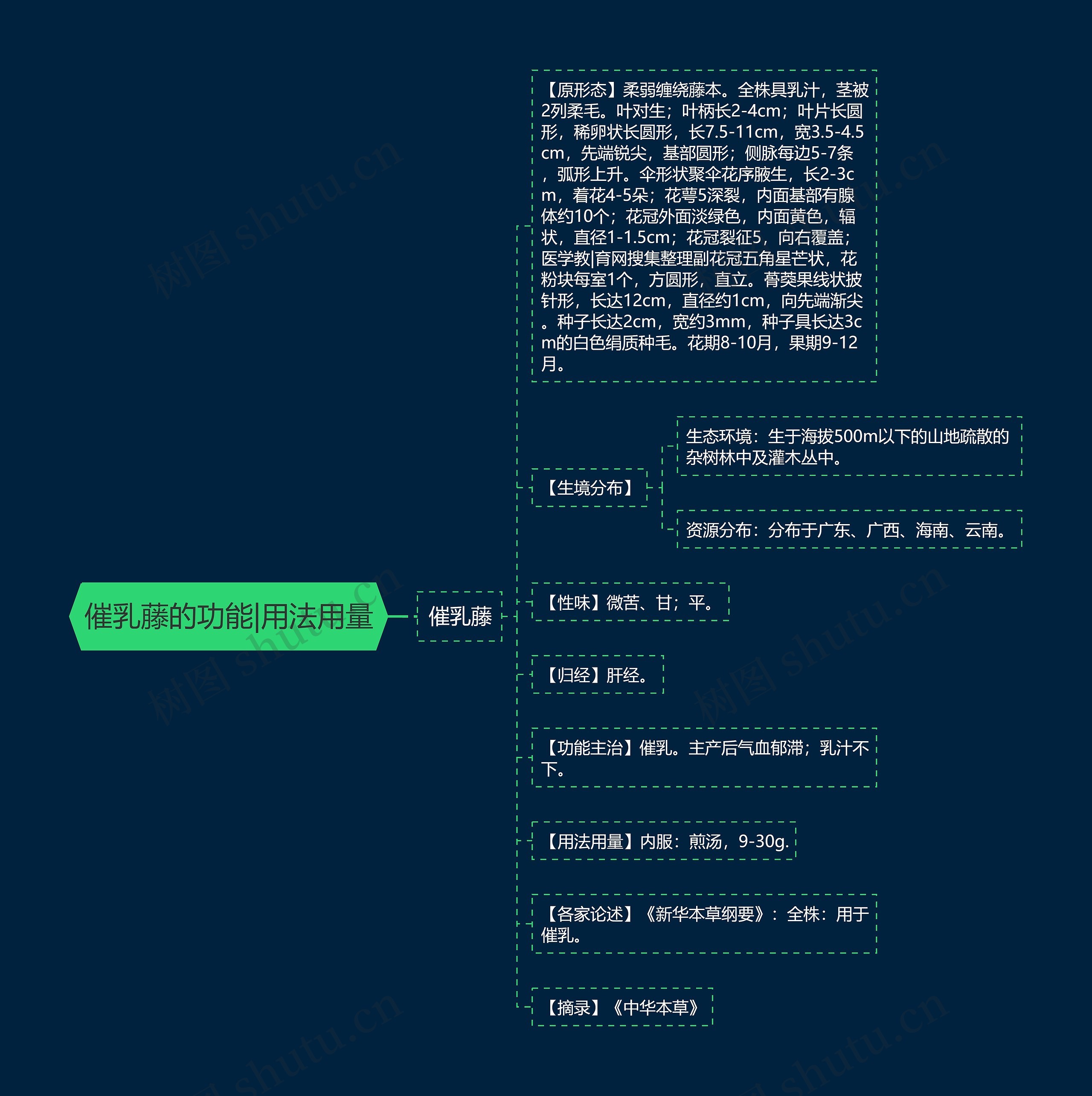 催乳藤的功能|用法用量思维导图